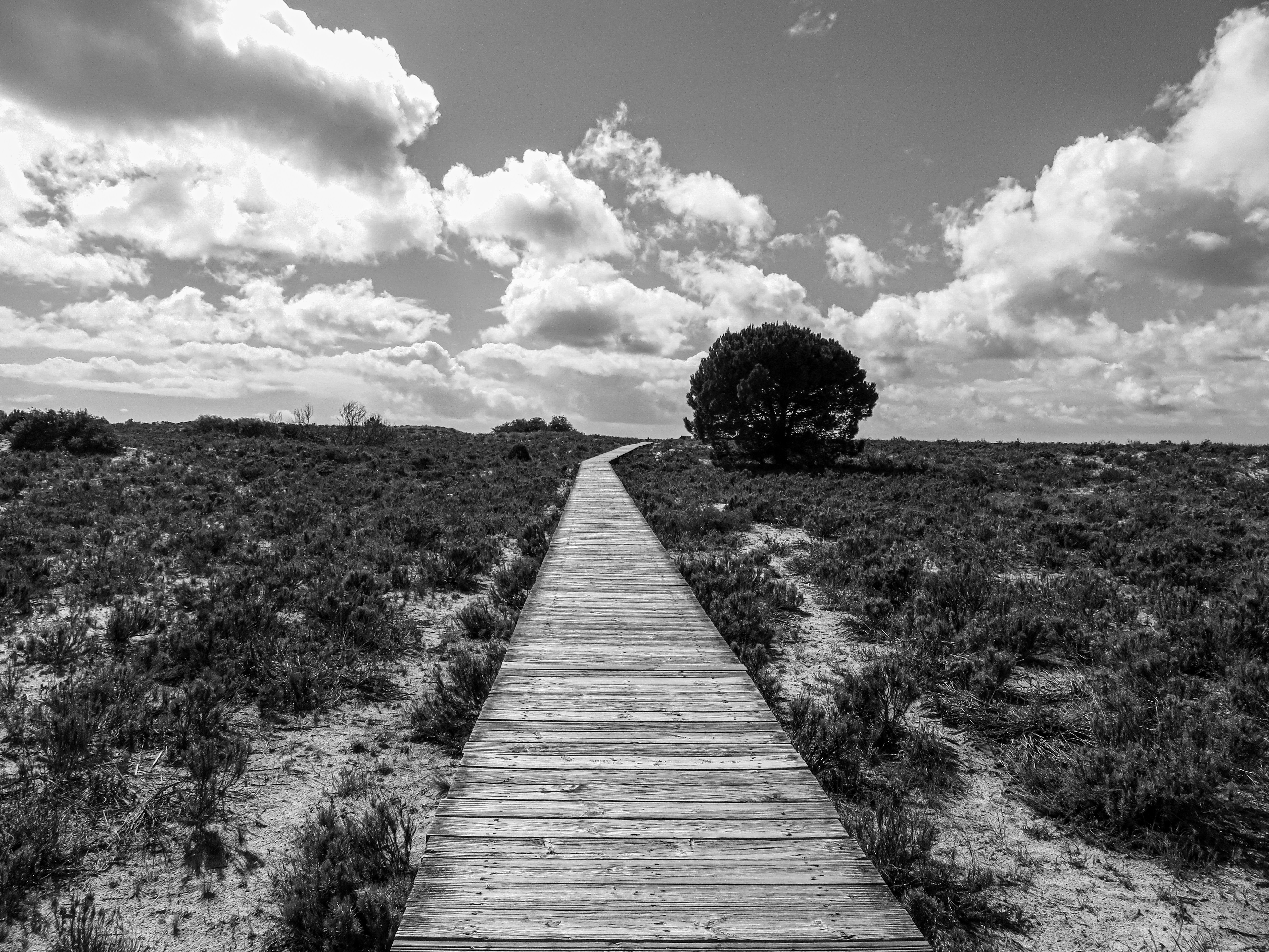 Photo by jgcachafeiro