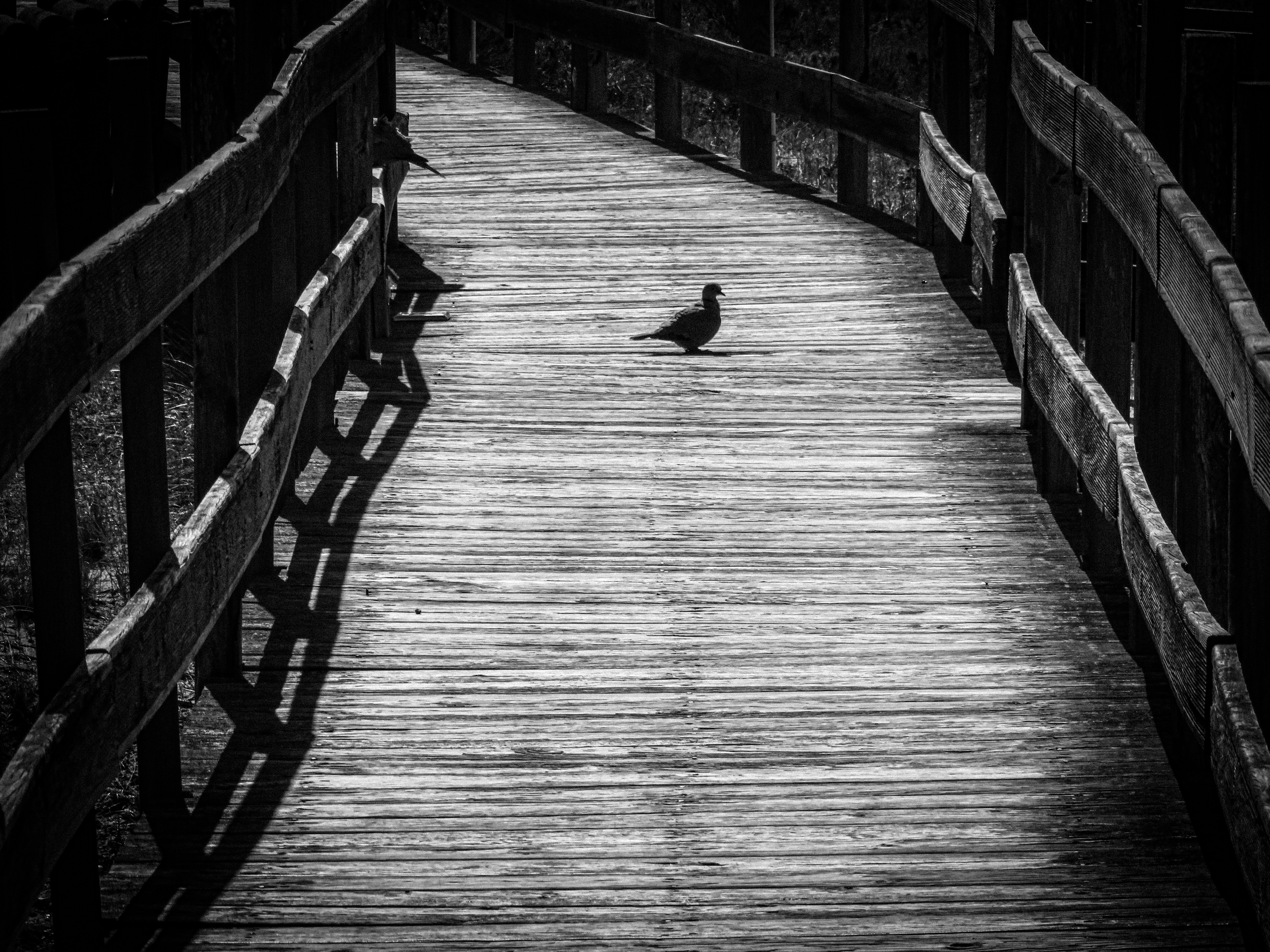 Photo by jgcachafeiro