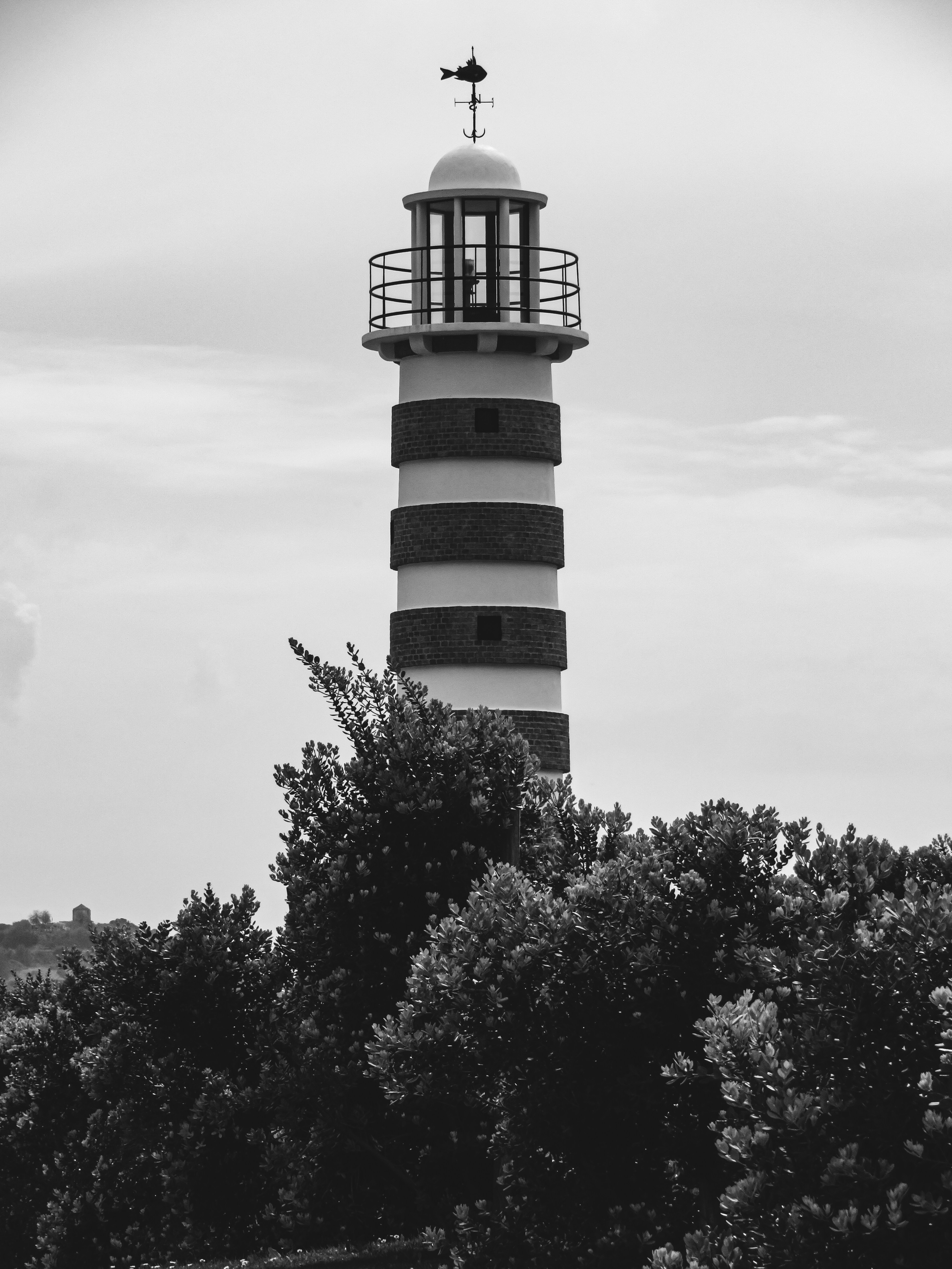 Photo by jgcachafeiro