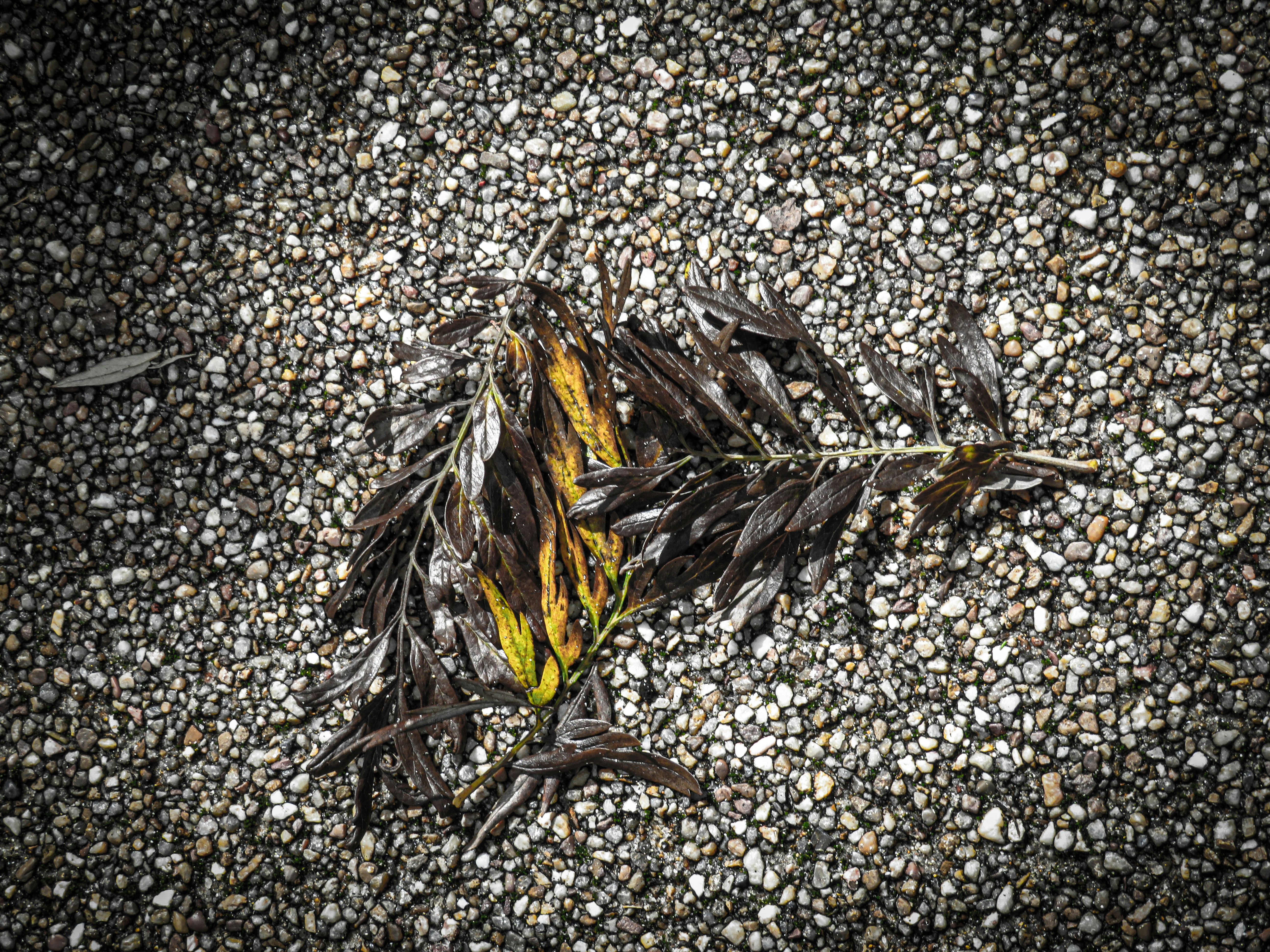 Photo by jgcachafeiro