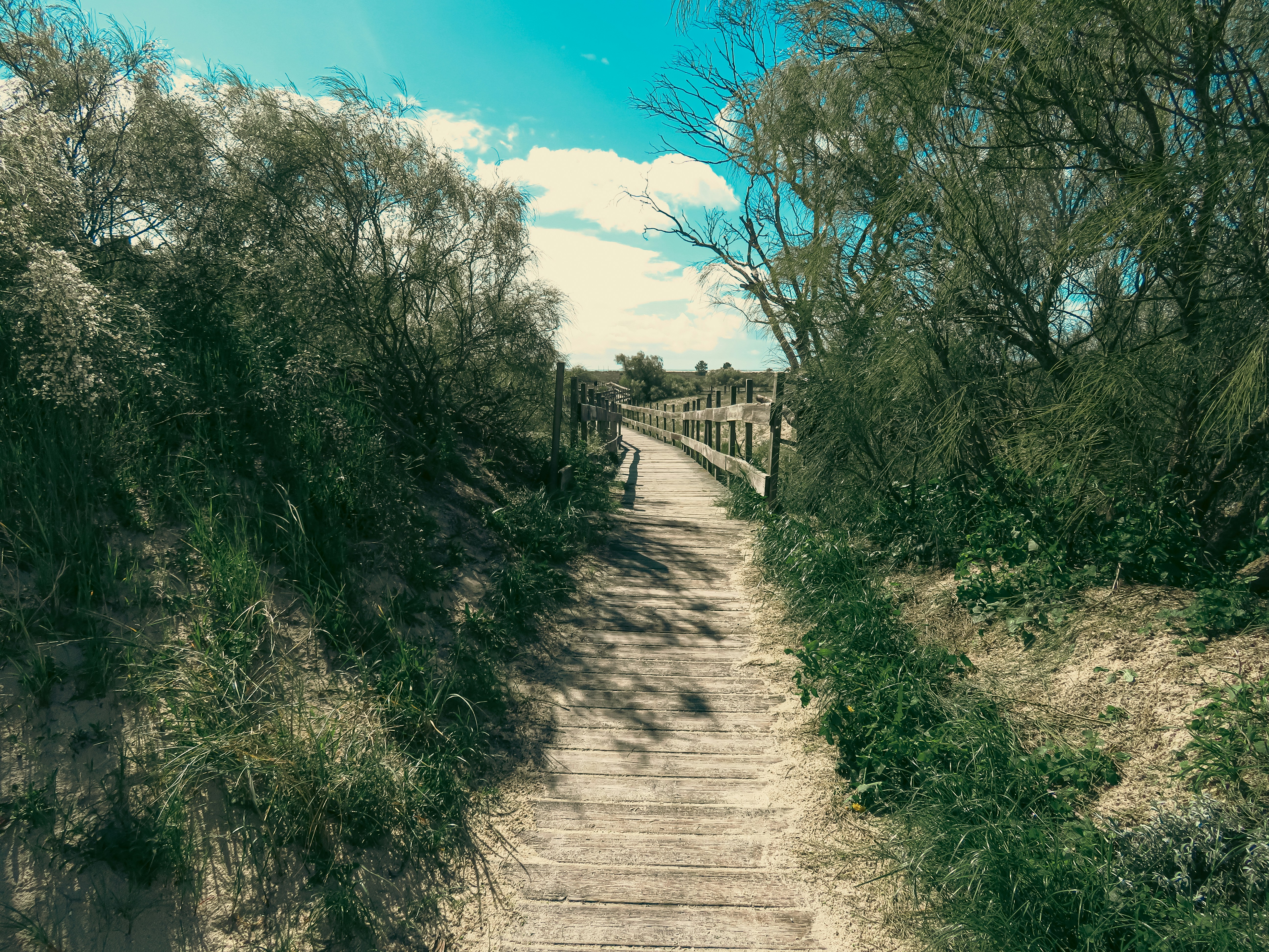 Photo by jgcachafeiro