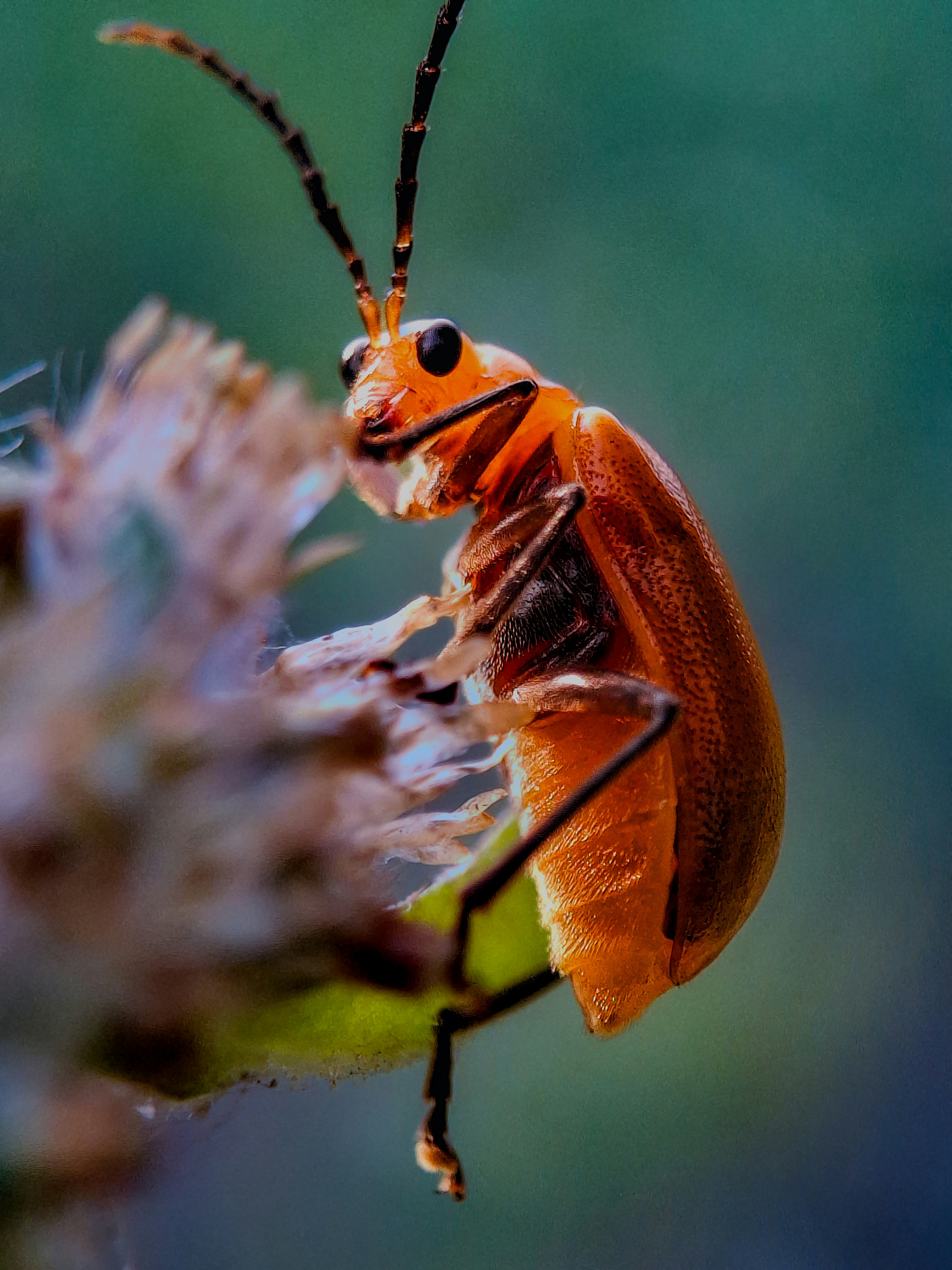 Photo by abdulrouf7463