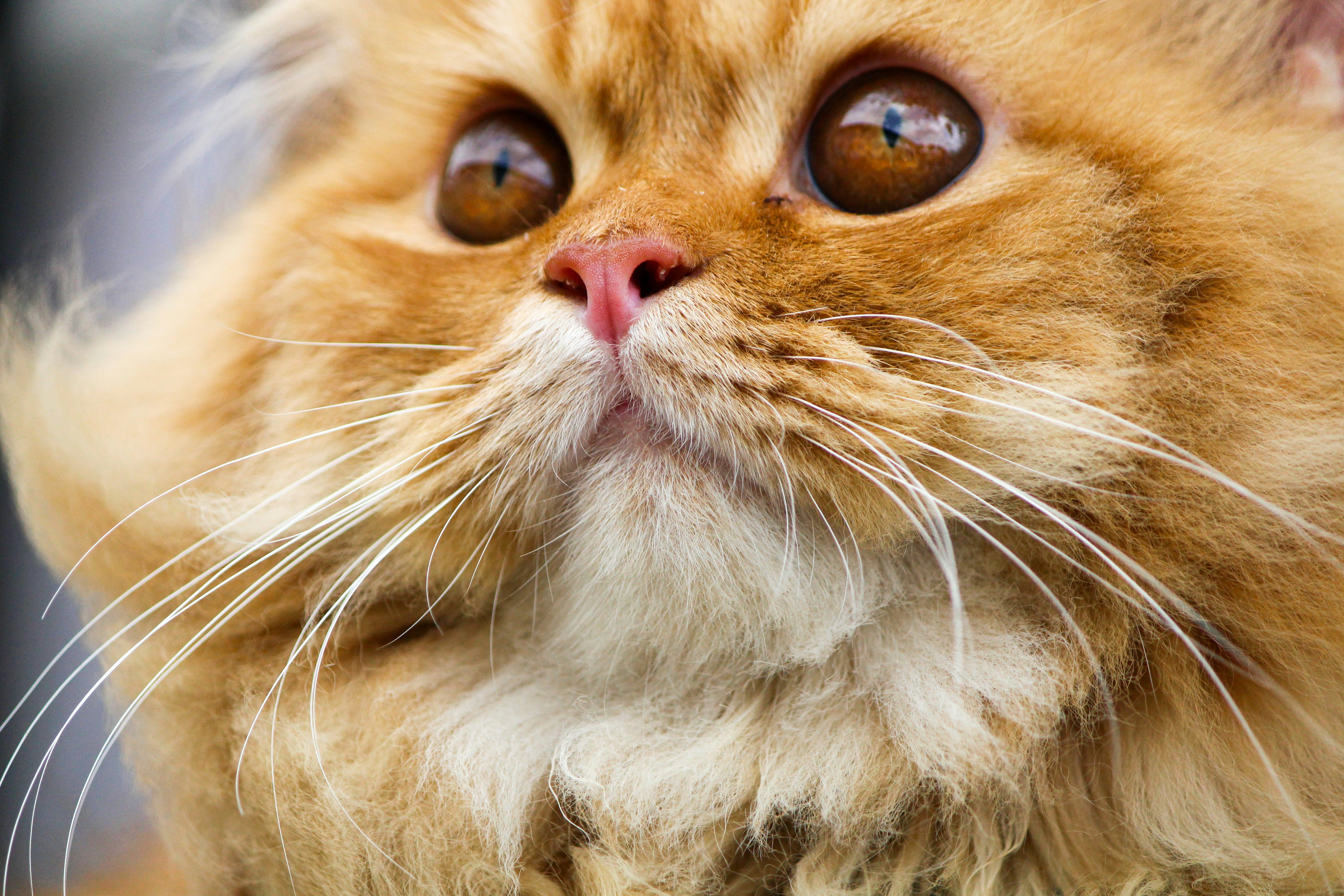 Photo by nikhil_0506