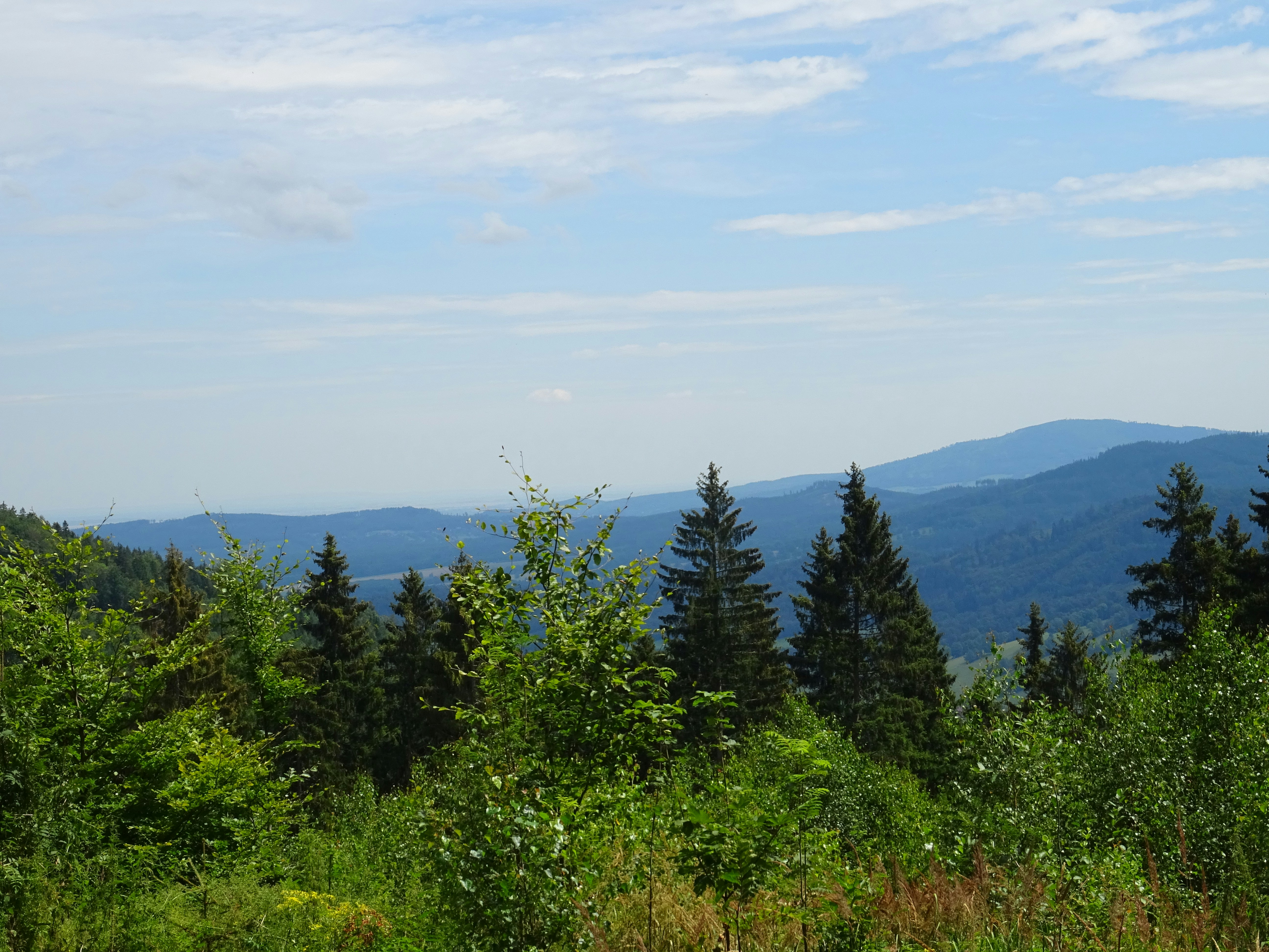 Photo by bluedemonpirates