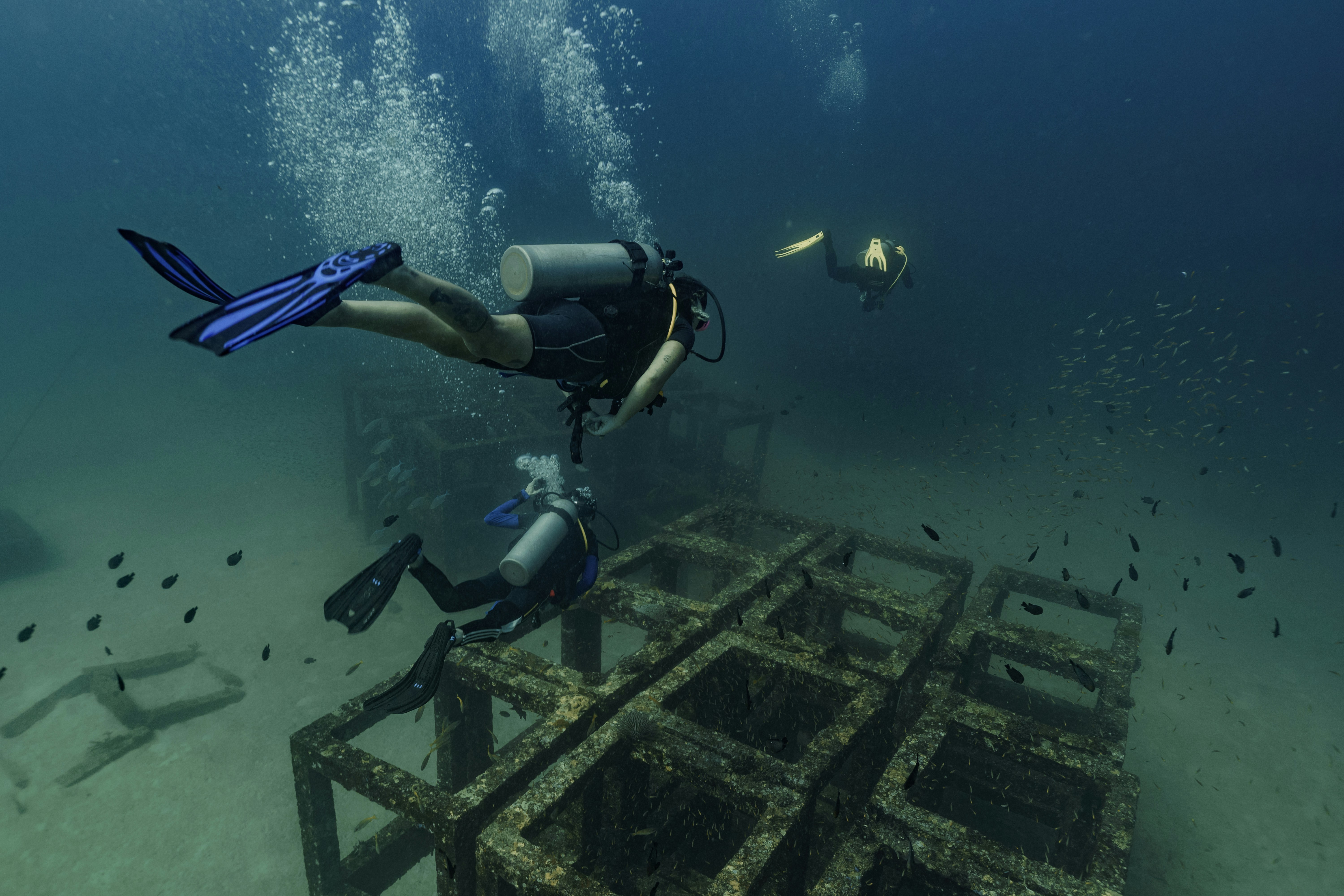 The Krishna Connection and Historical Validity (image credits: unsplash)