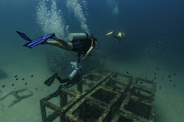 Dive Leader / Dive Guide / Supervisor