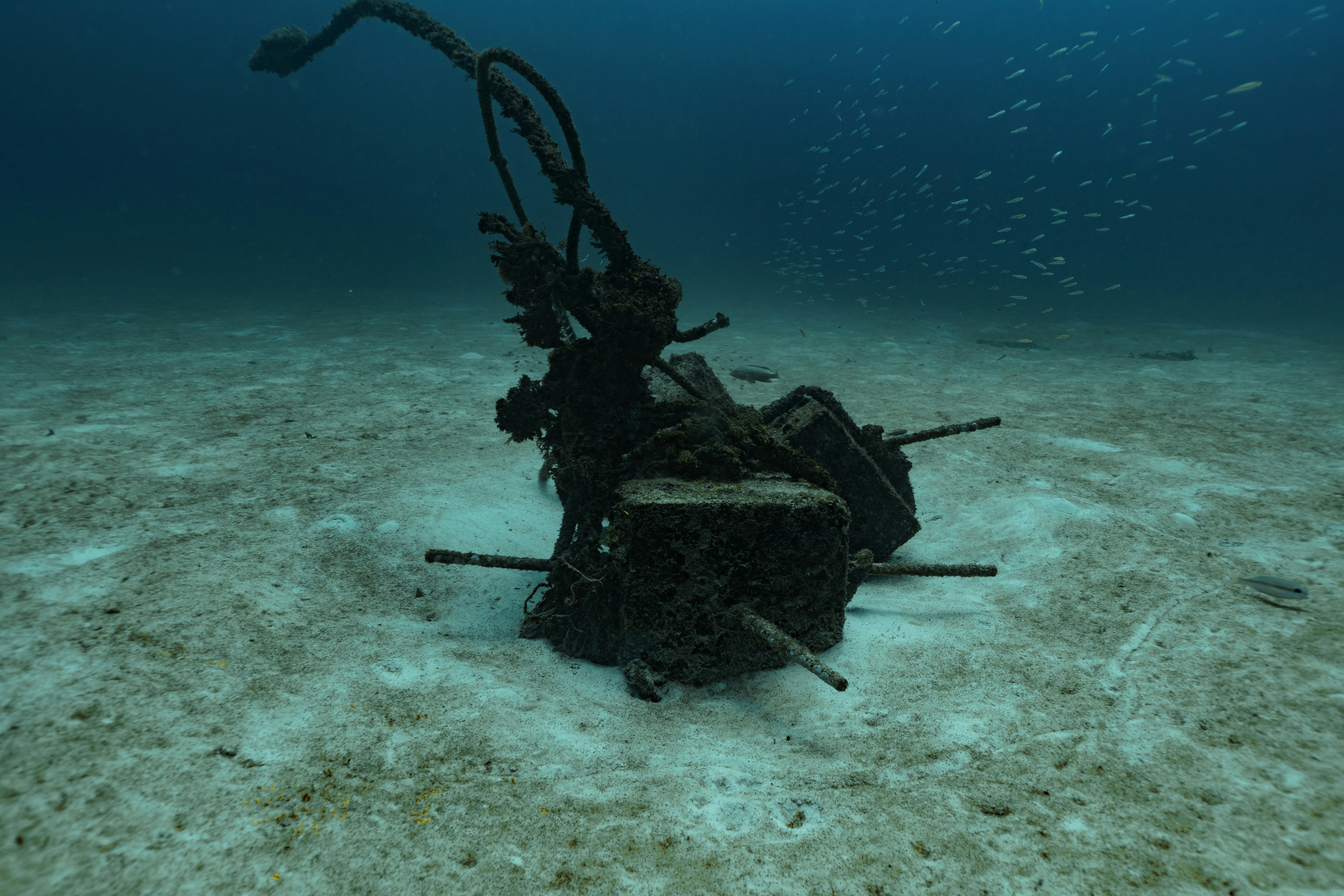 An underwater wreck lies on the ocean floor