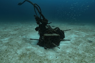 An underwater wreck lies on the ocean floor.