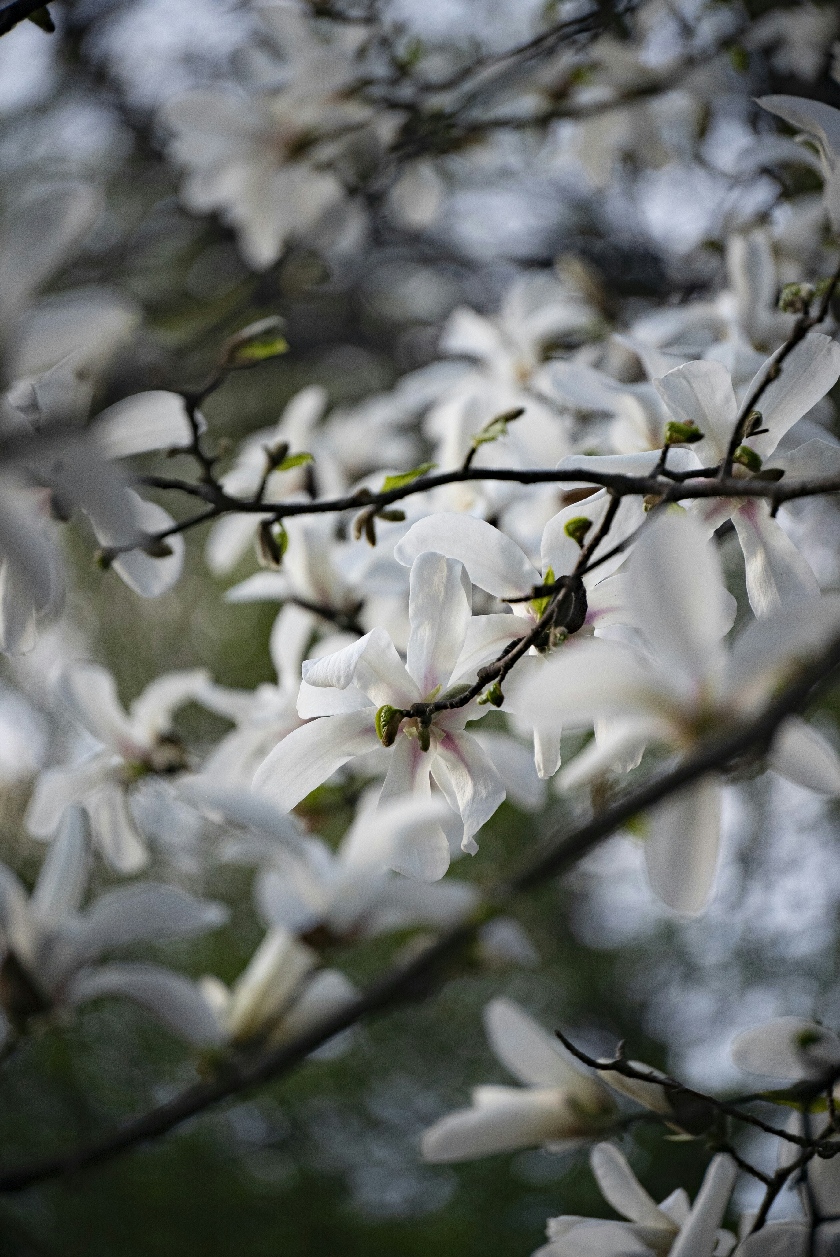 Photo by megaviolence