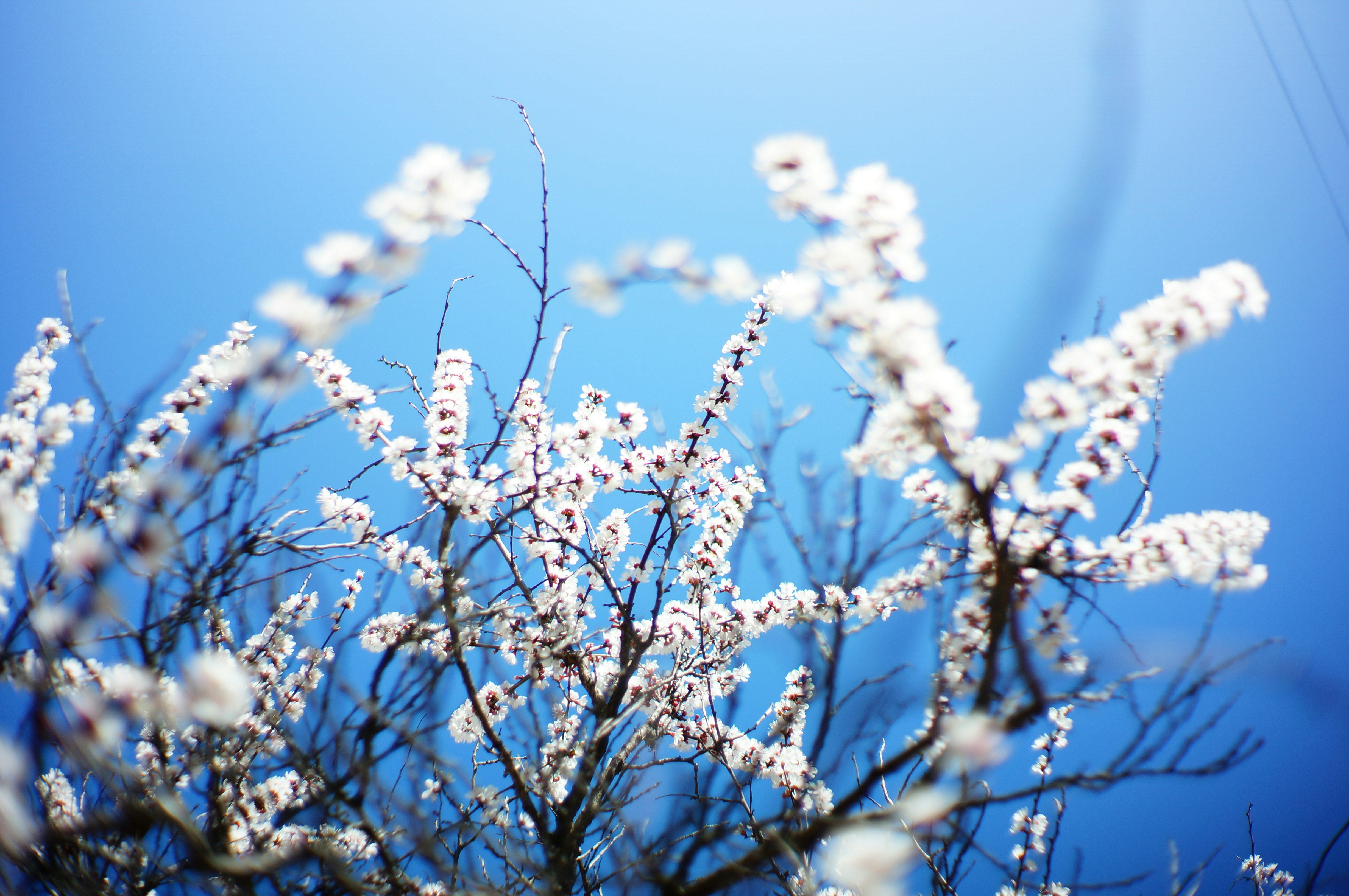 Photo by megaviolence