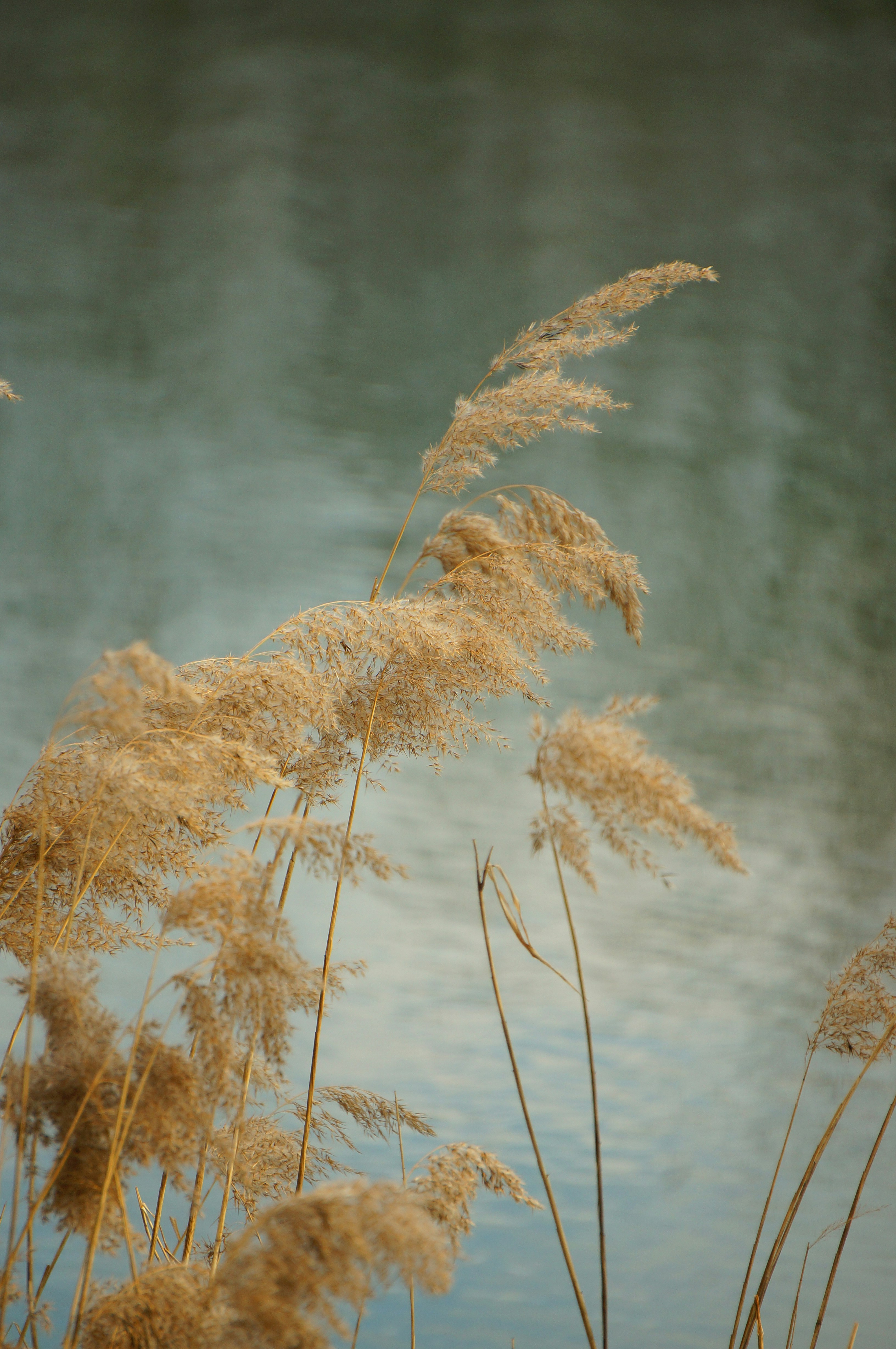 Photo by megaviolence