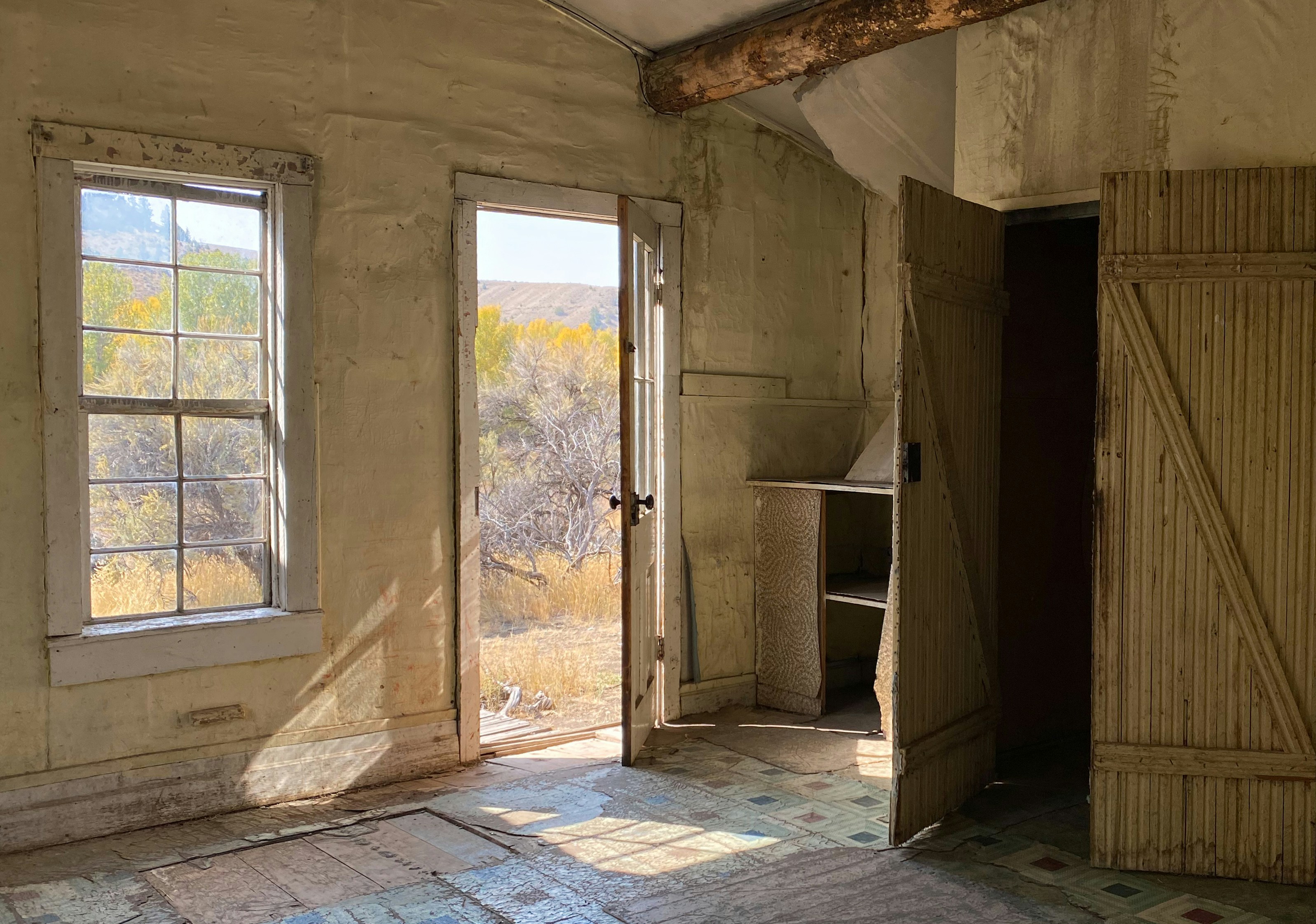 💥 심장 멎는 듯한 고통, 5분 안에 생사를 가르는 골든타임 사수법! 💥