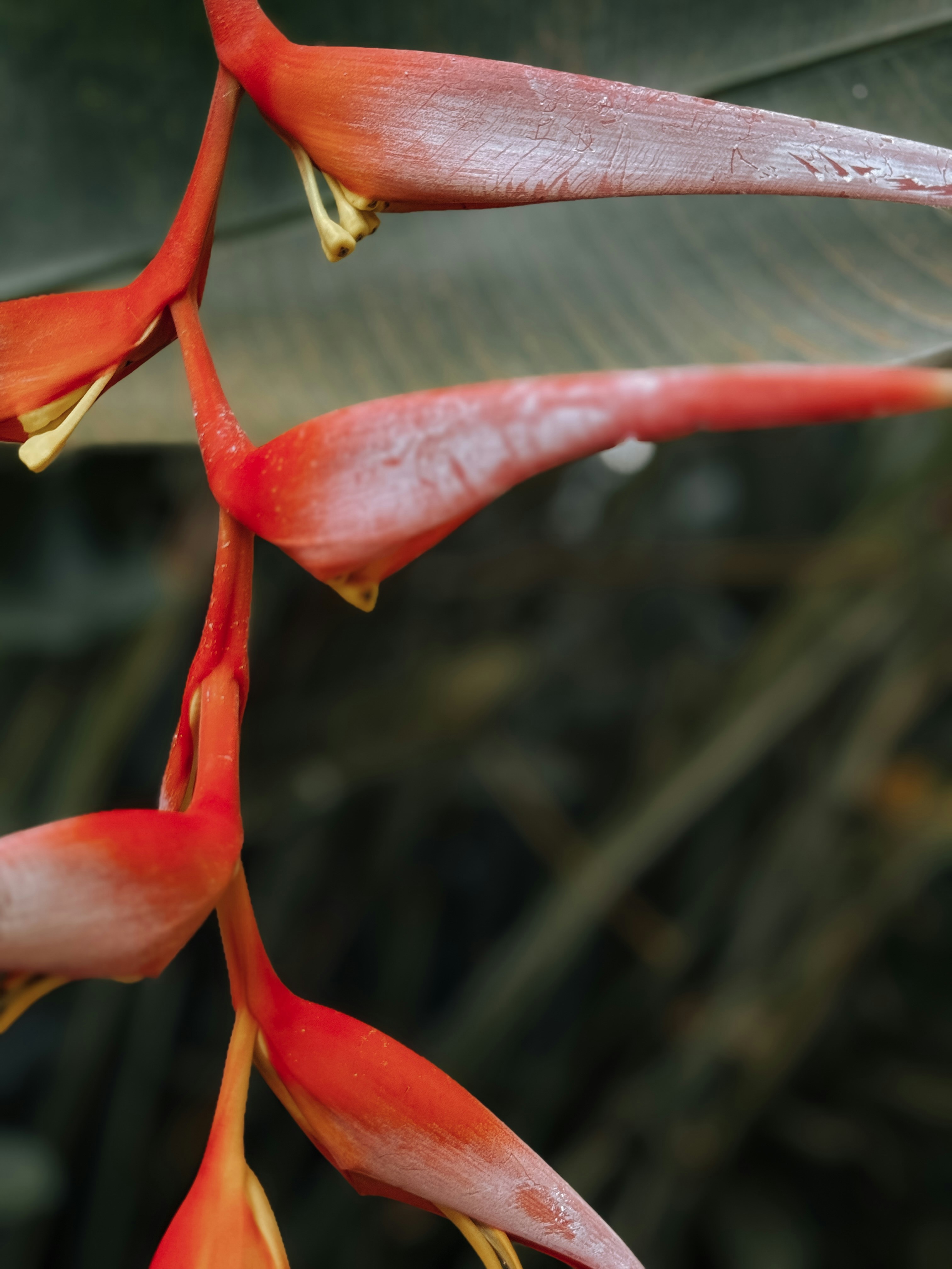 Photo by zvada_photo