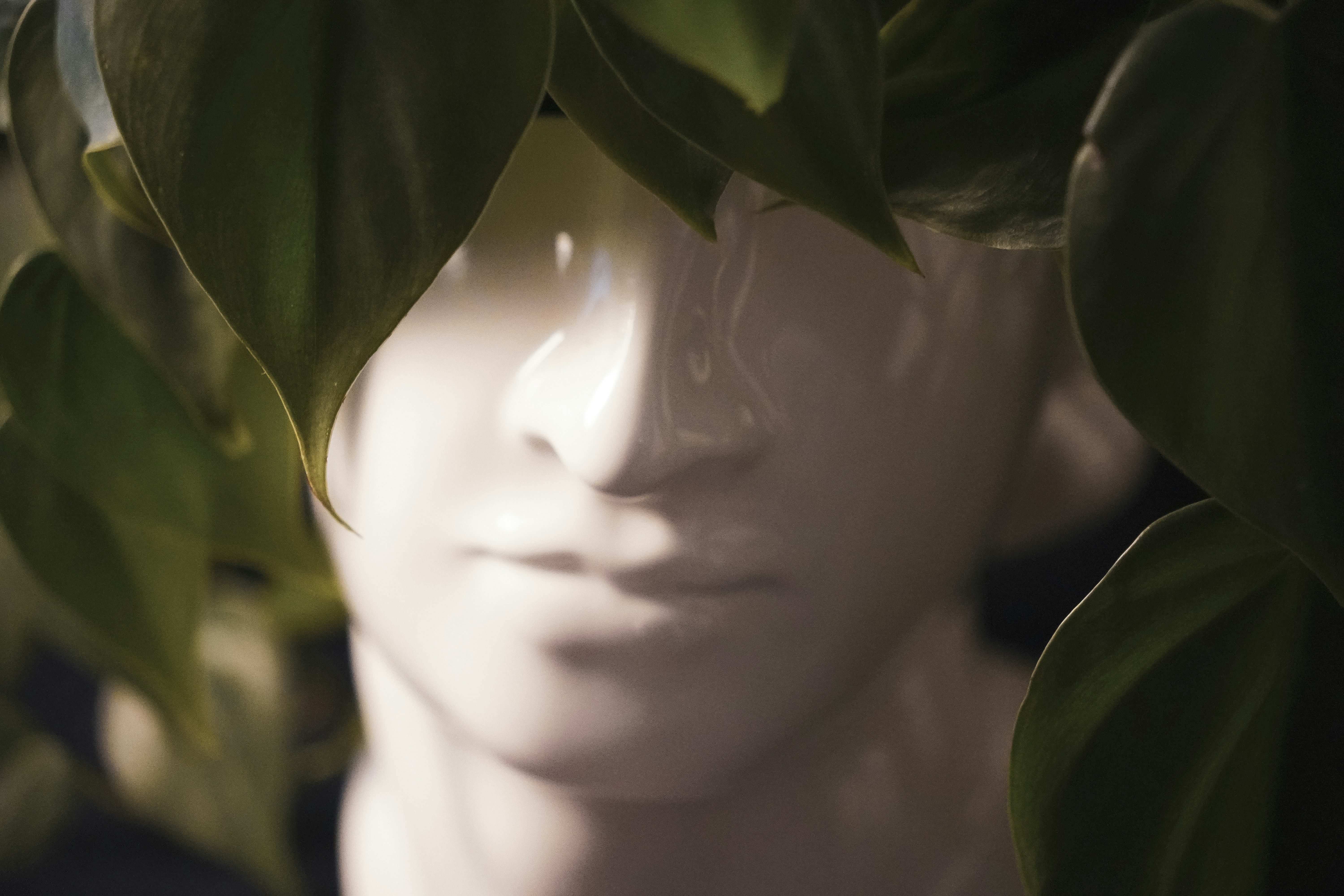 Plant grows in a vase shaped like a head.