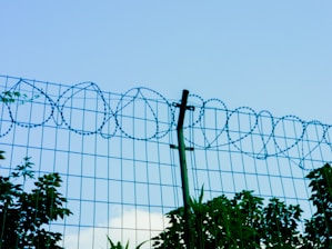 Barbed wire fence against a blue sky.