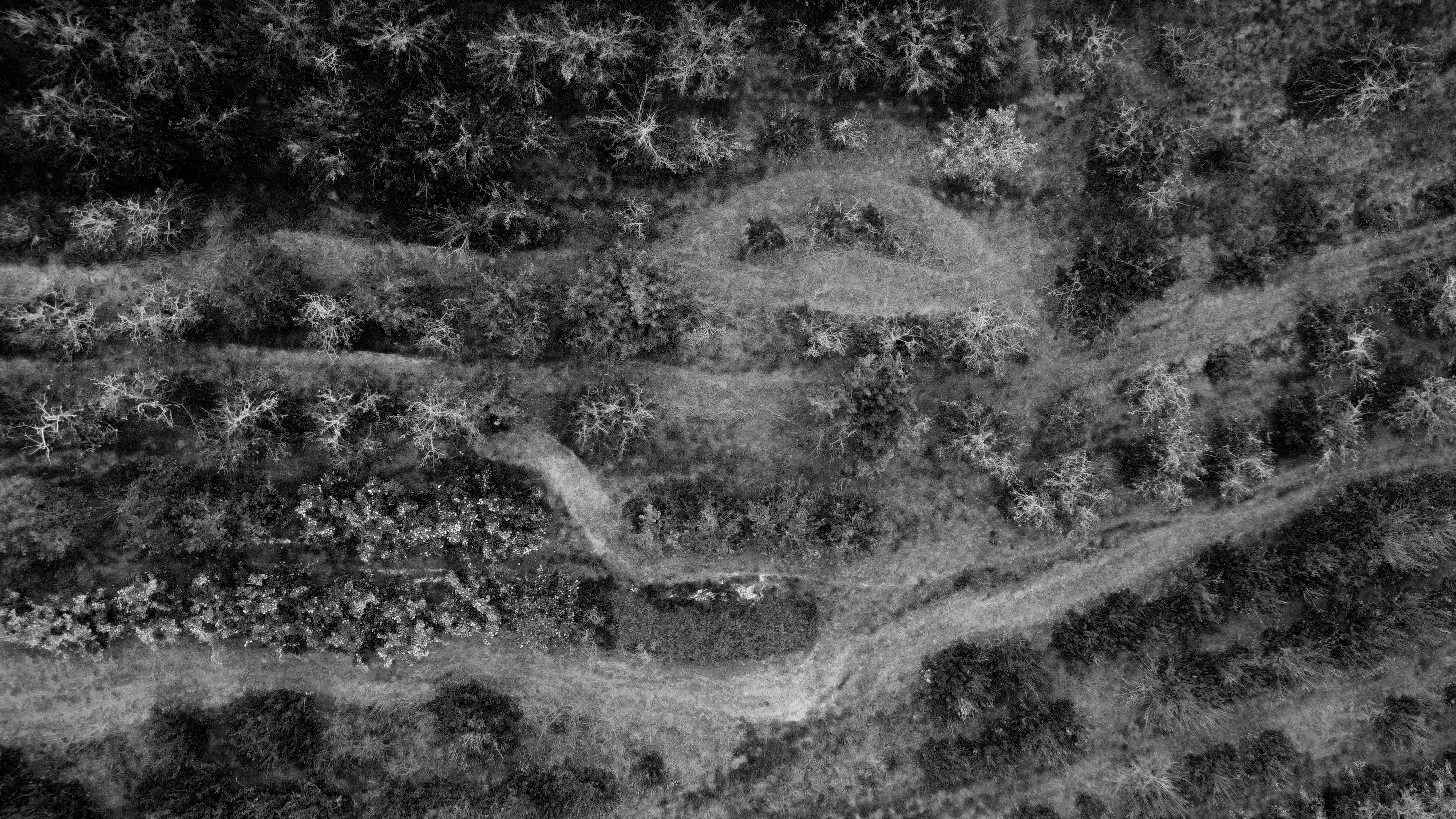 Photo by toby_hall28