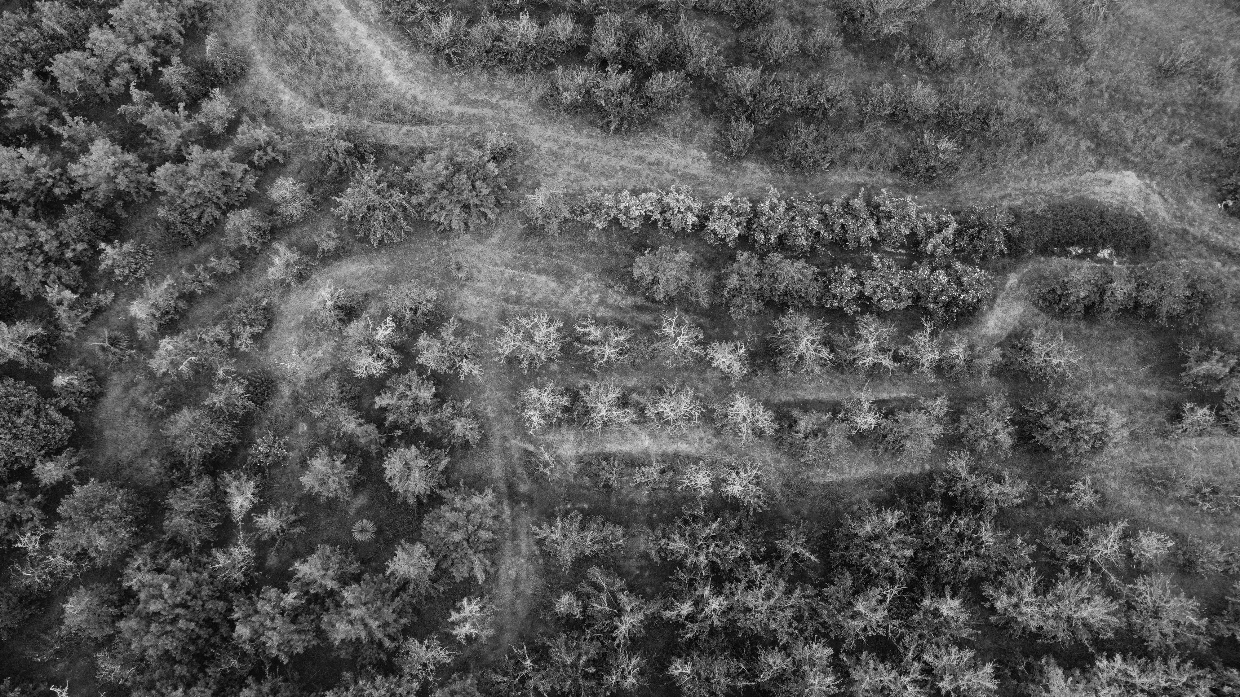 Photo by toby_hall28