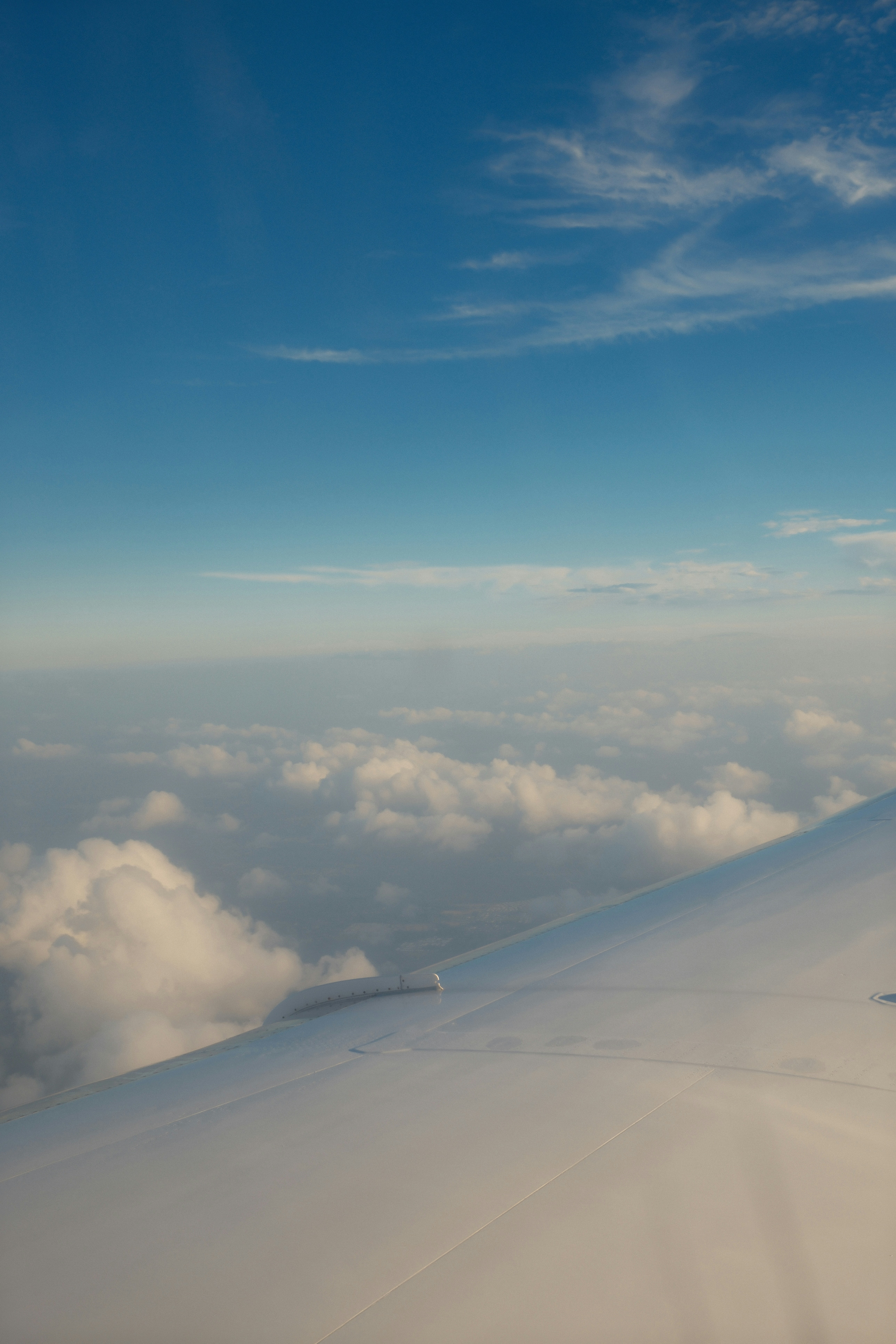 Photo by graceannefully