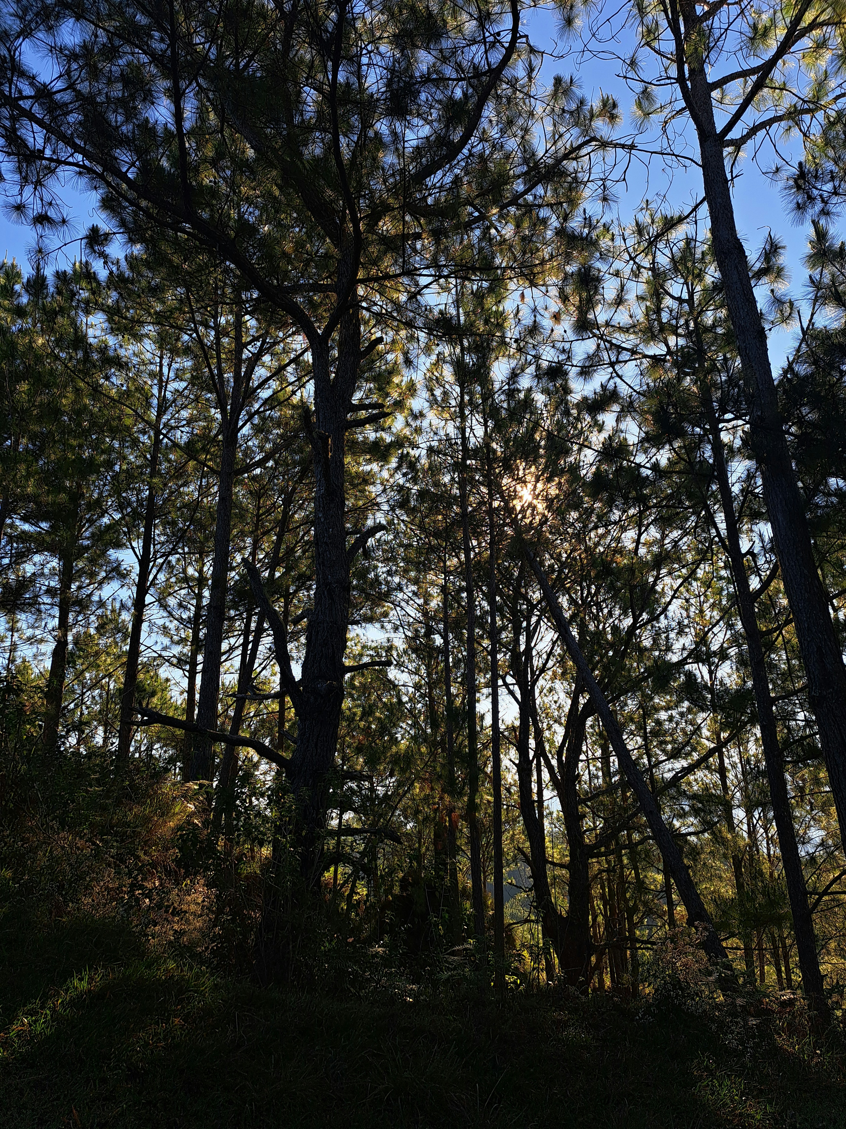 Photo by jefry199709