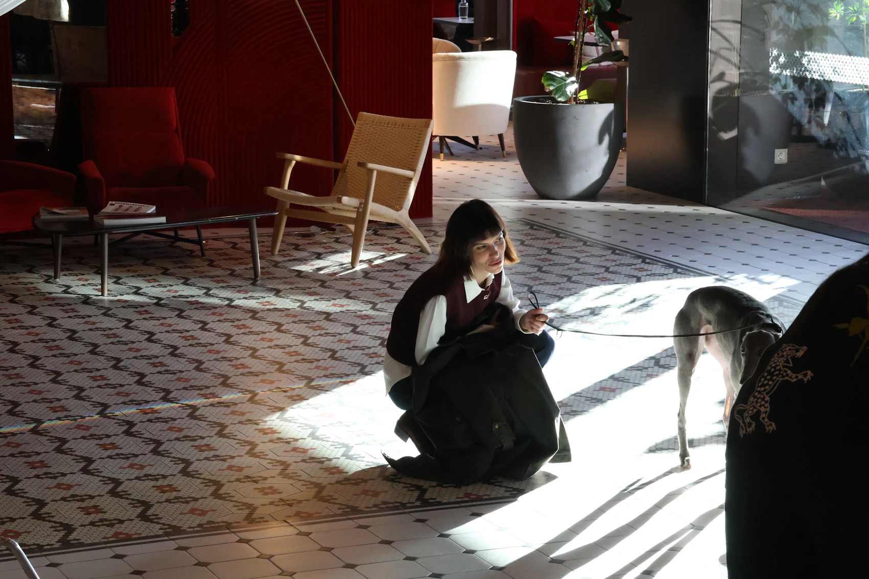 Owner and dog in a sophisticated sunlit interior