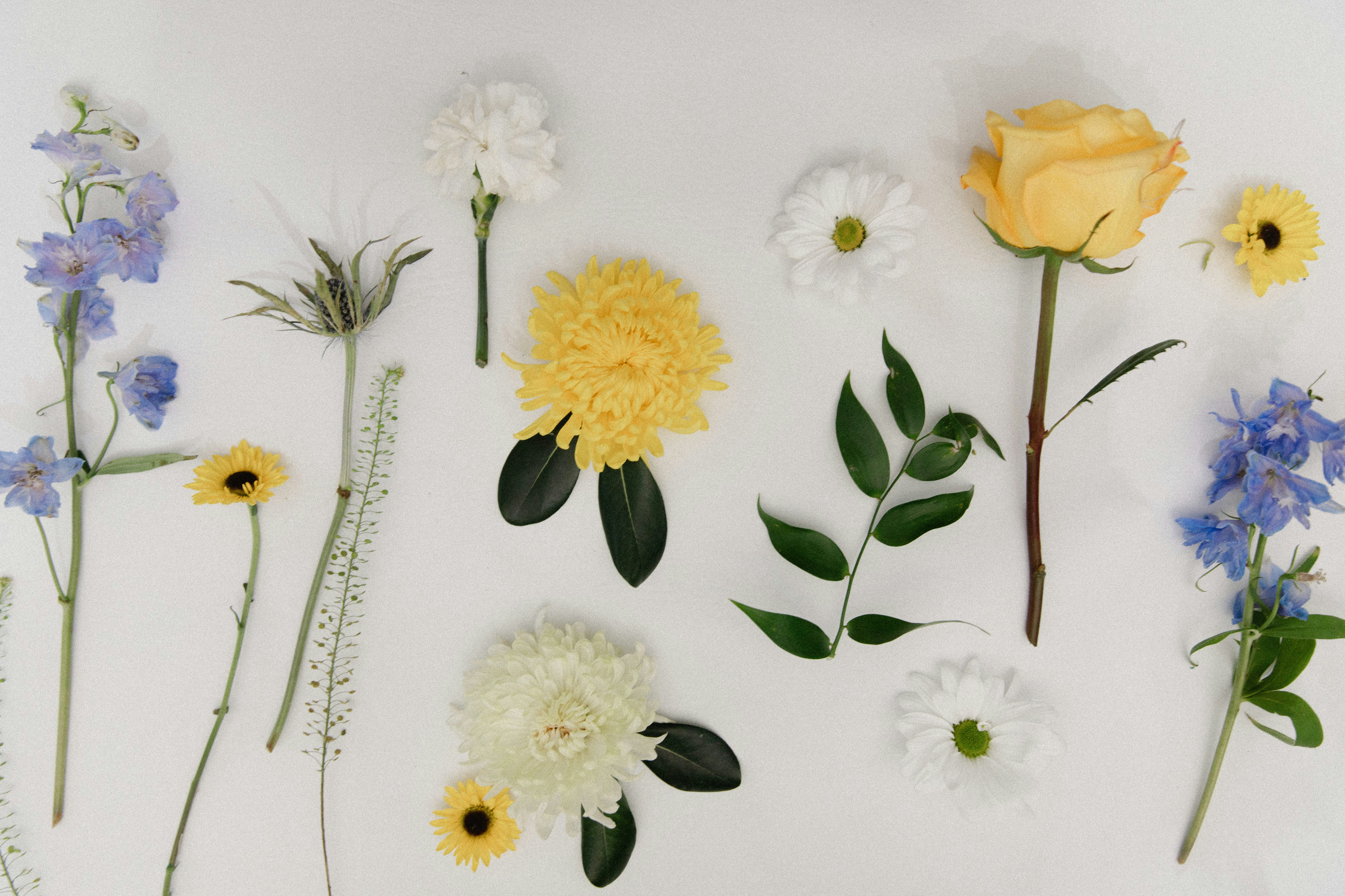 The Best Window Blind Shops for Visit within Leeds