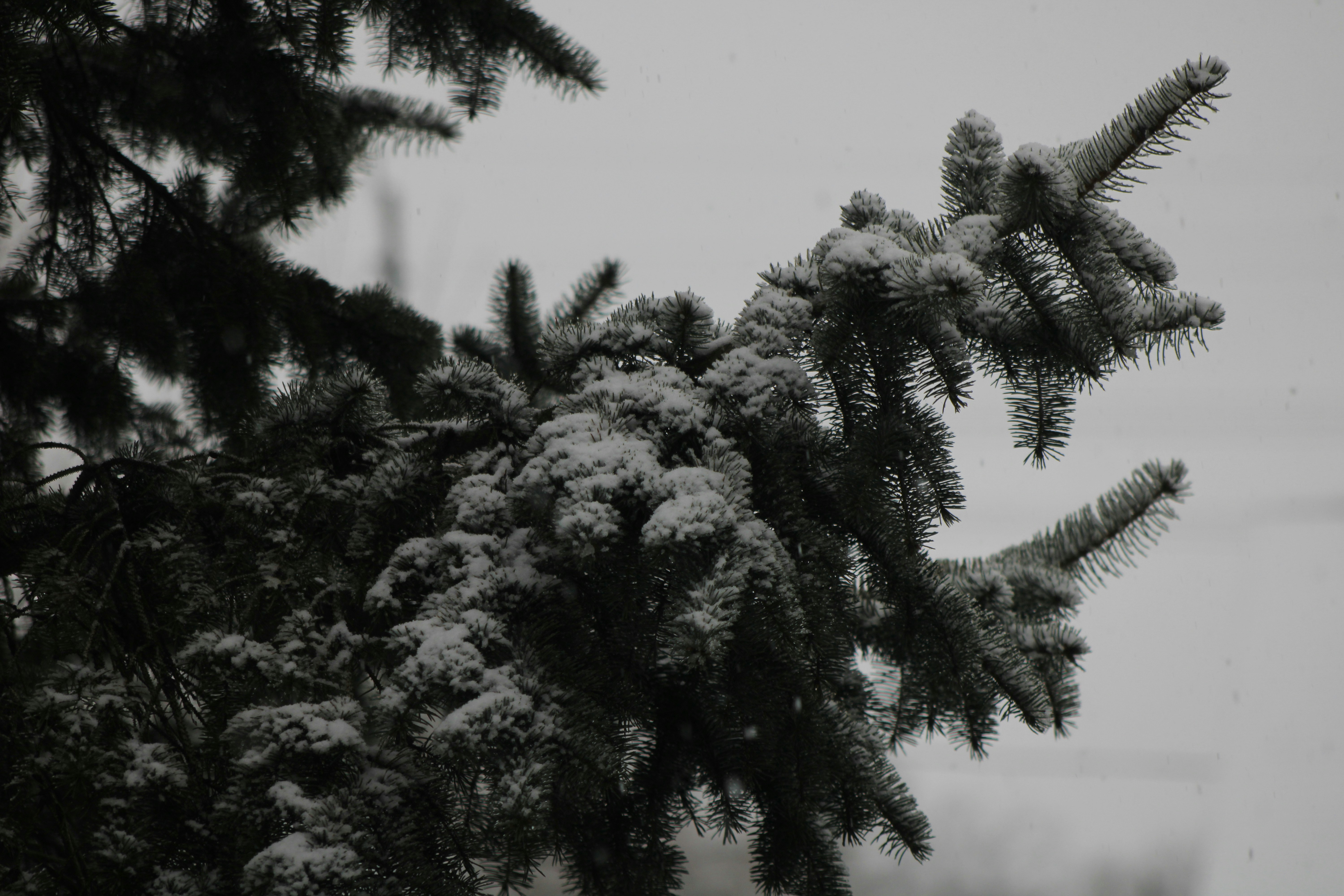 Photo by khaotic_lenz