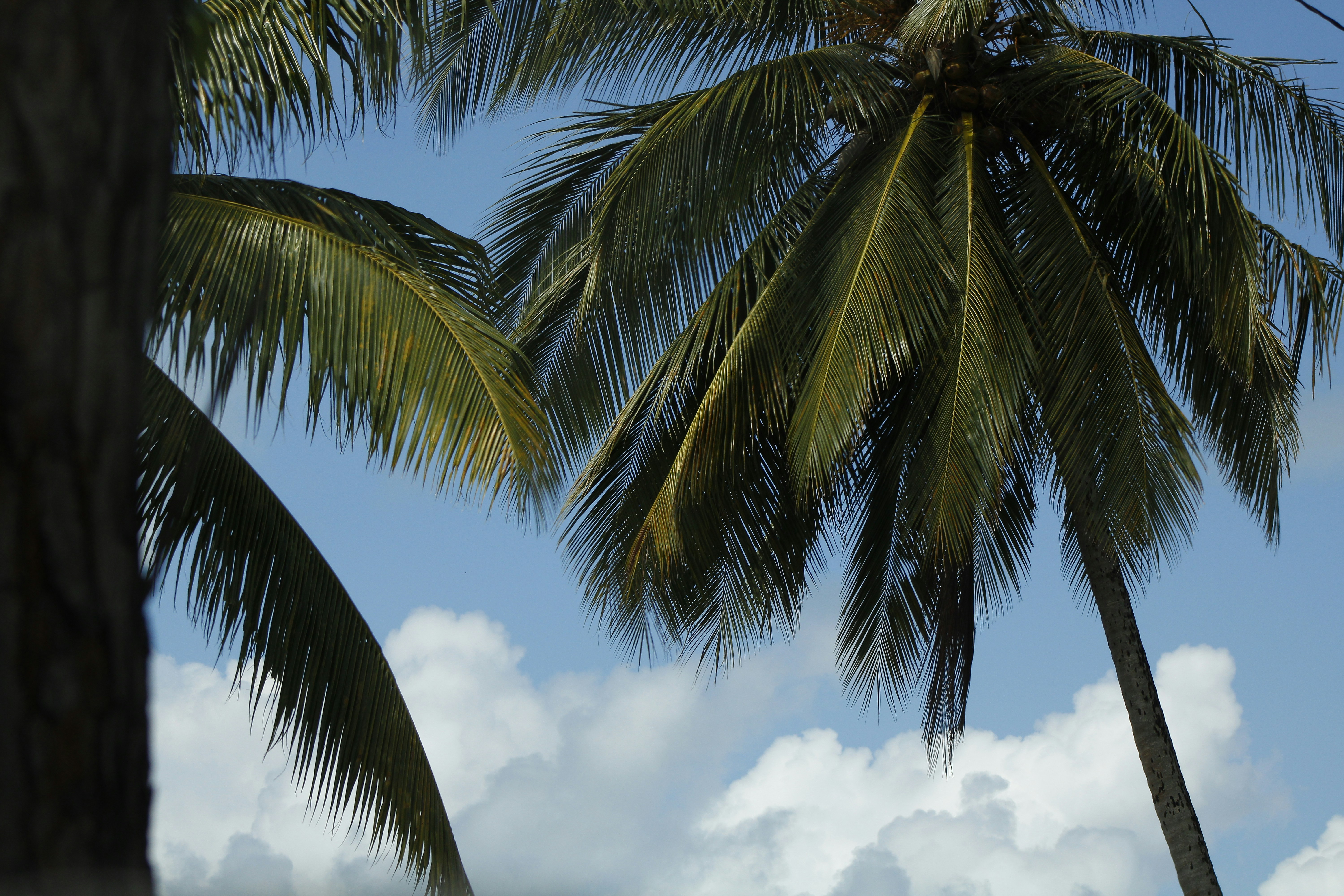 Photo by khaotic_lenz