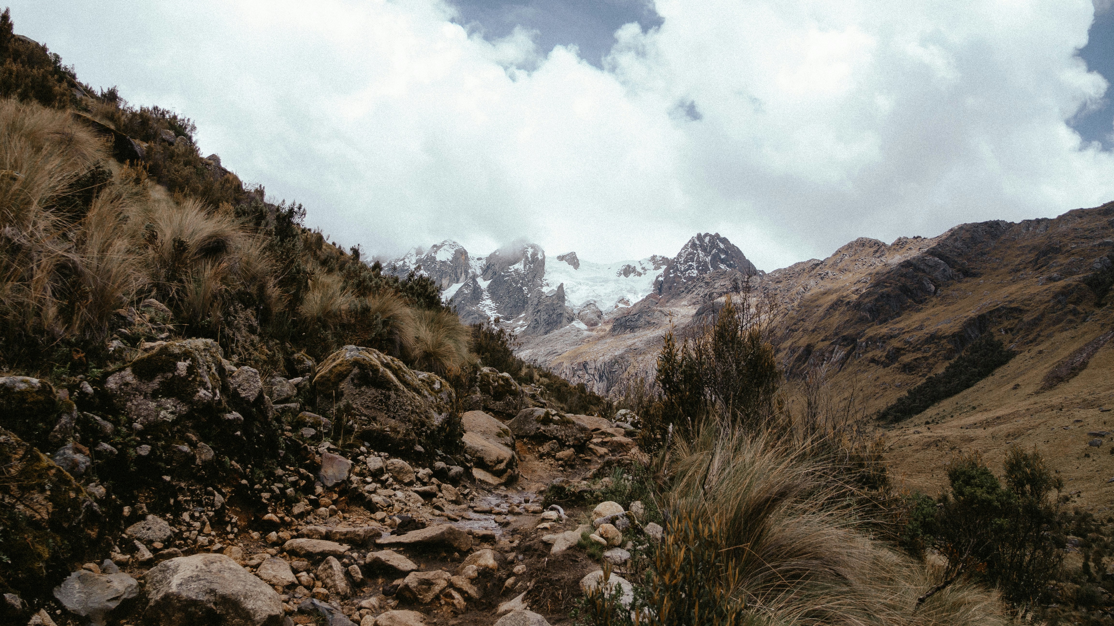 A mountain trail leads towards snowy peaks.