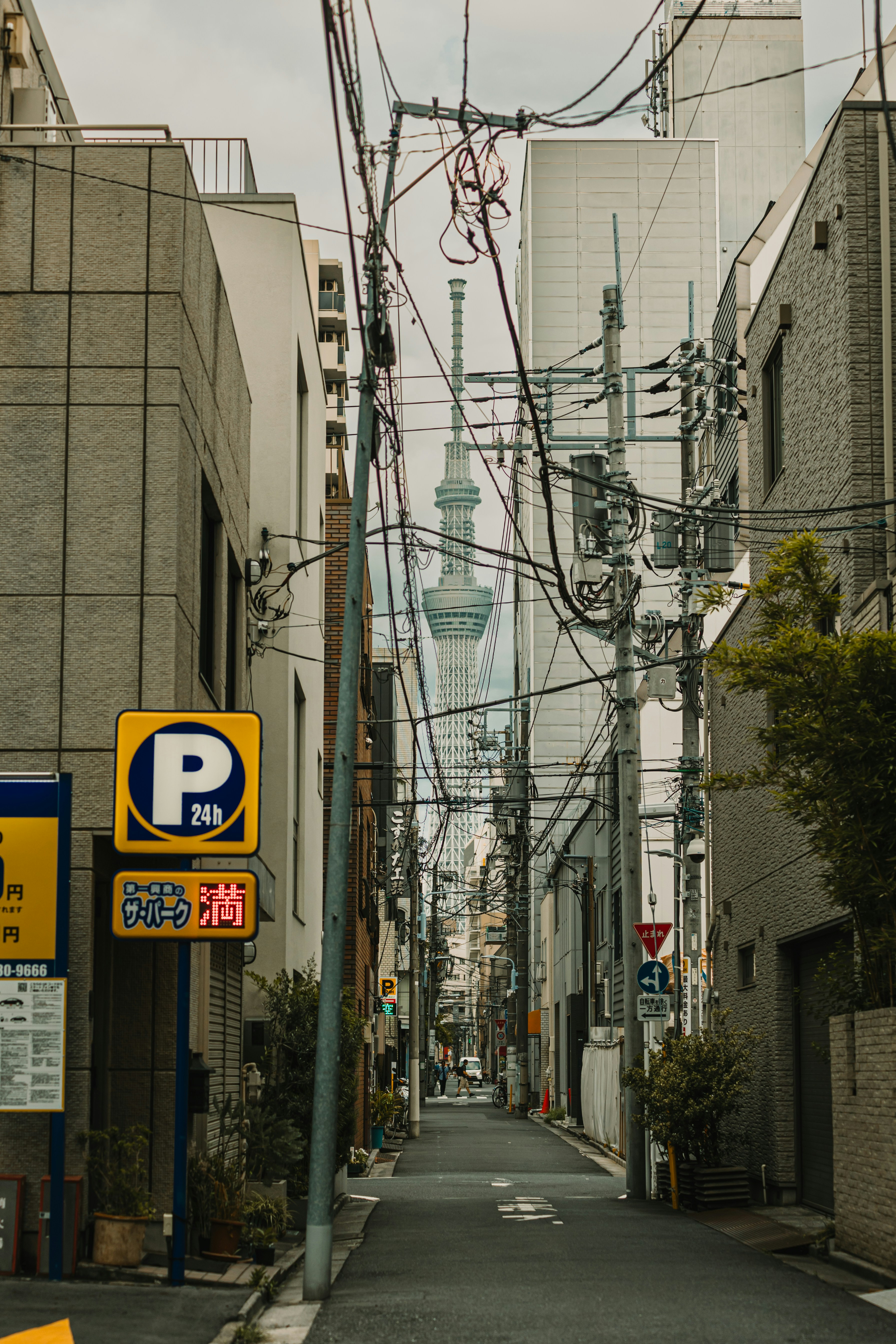 Photo by dariendesigns