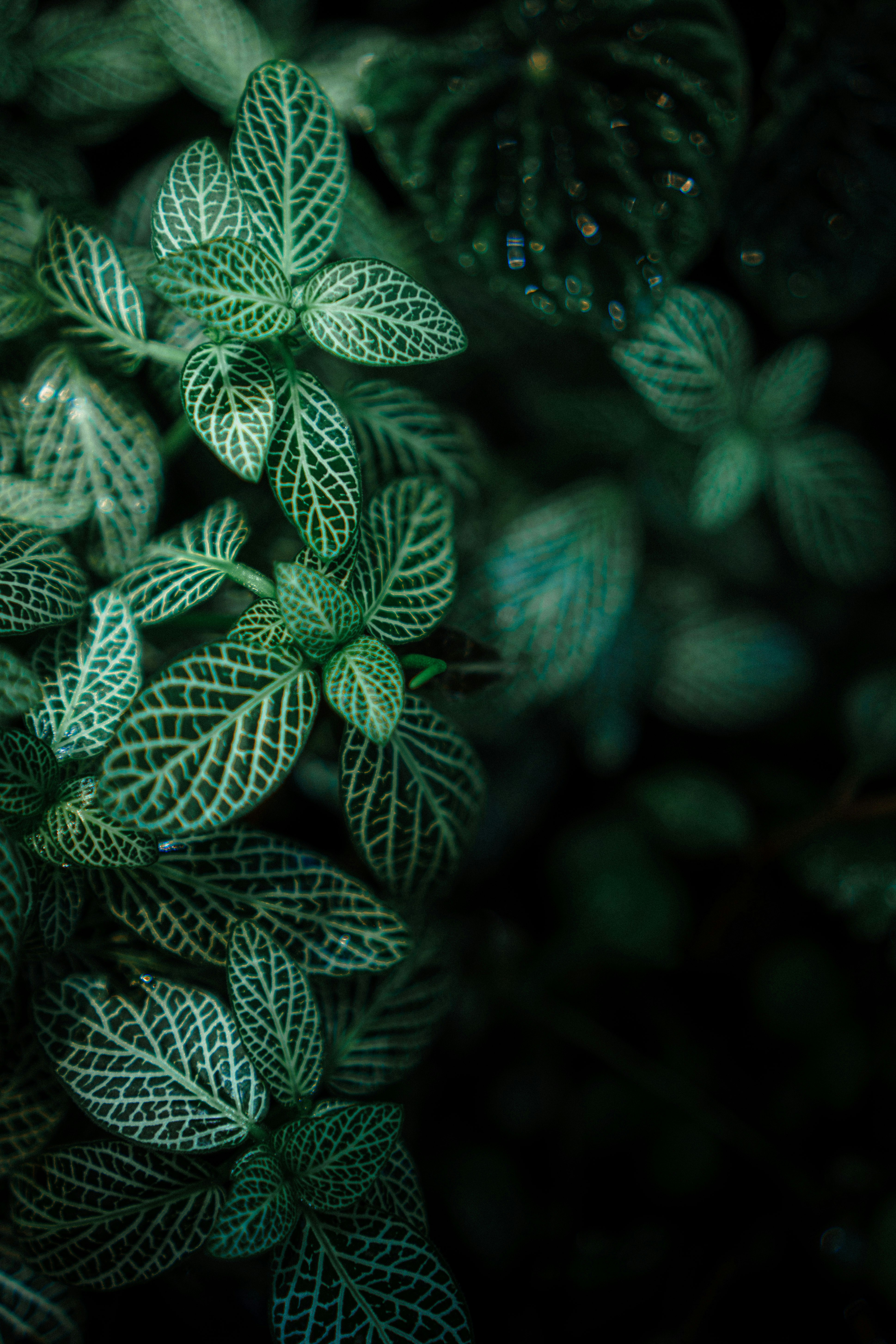 Photo by raybenanthony