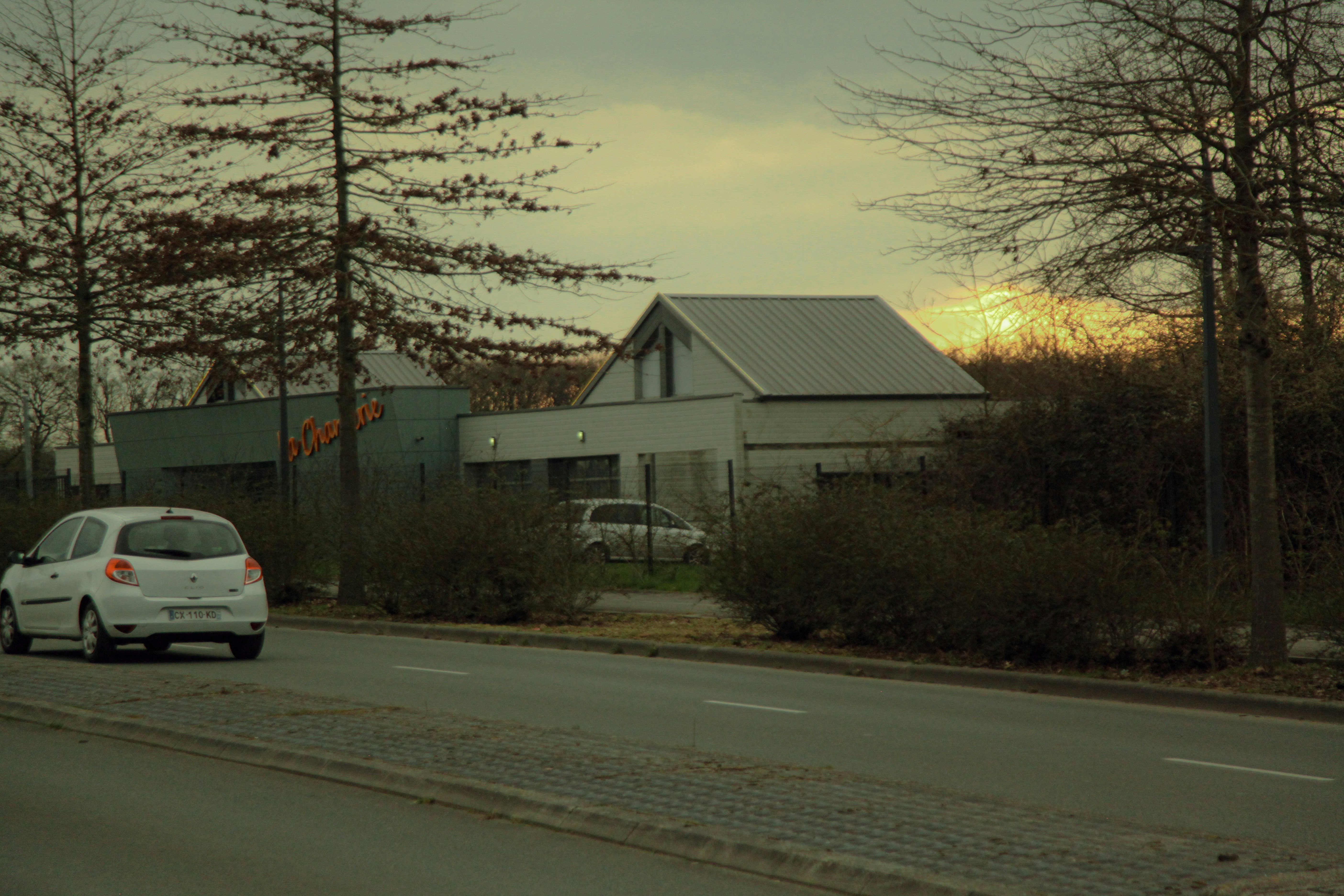 Photo by nimble_essence