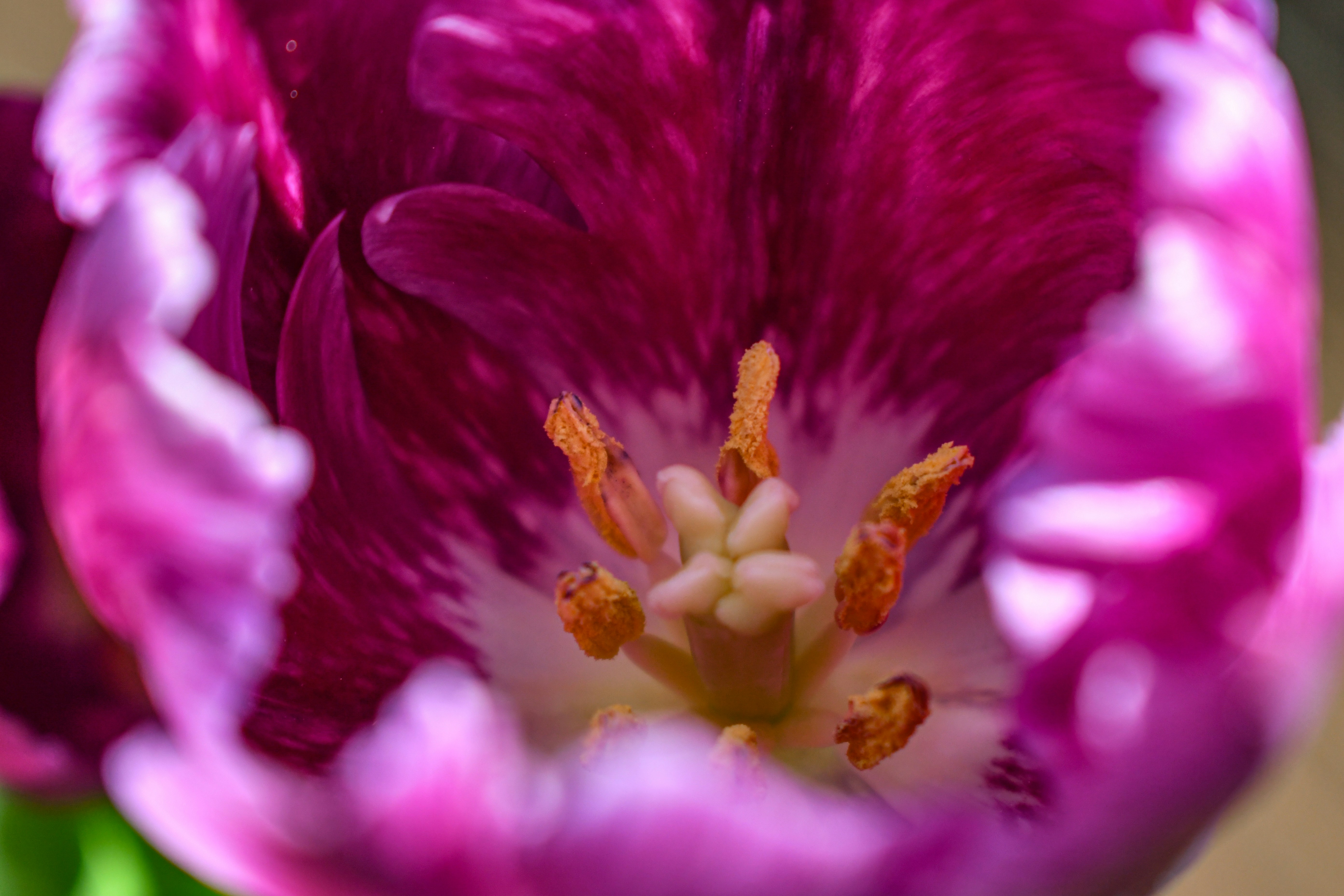 Photo by elisastonephotography