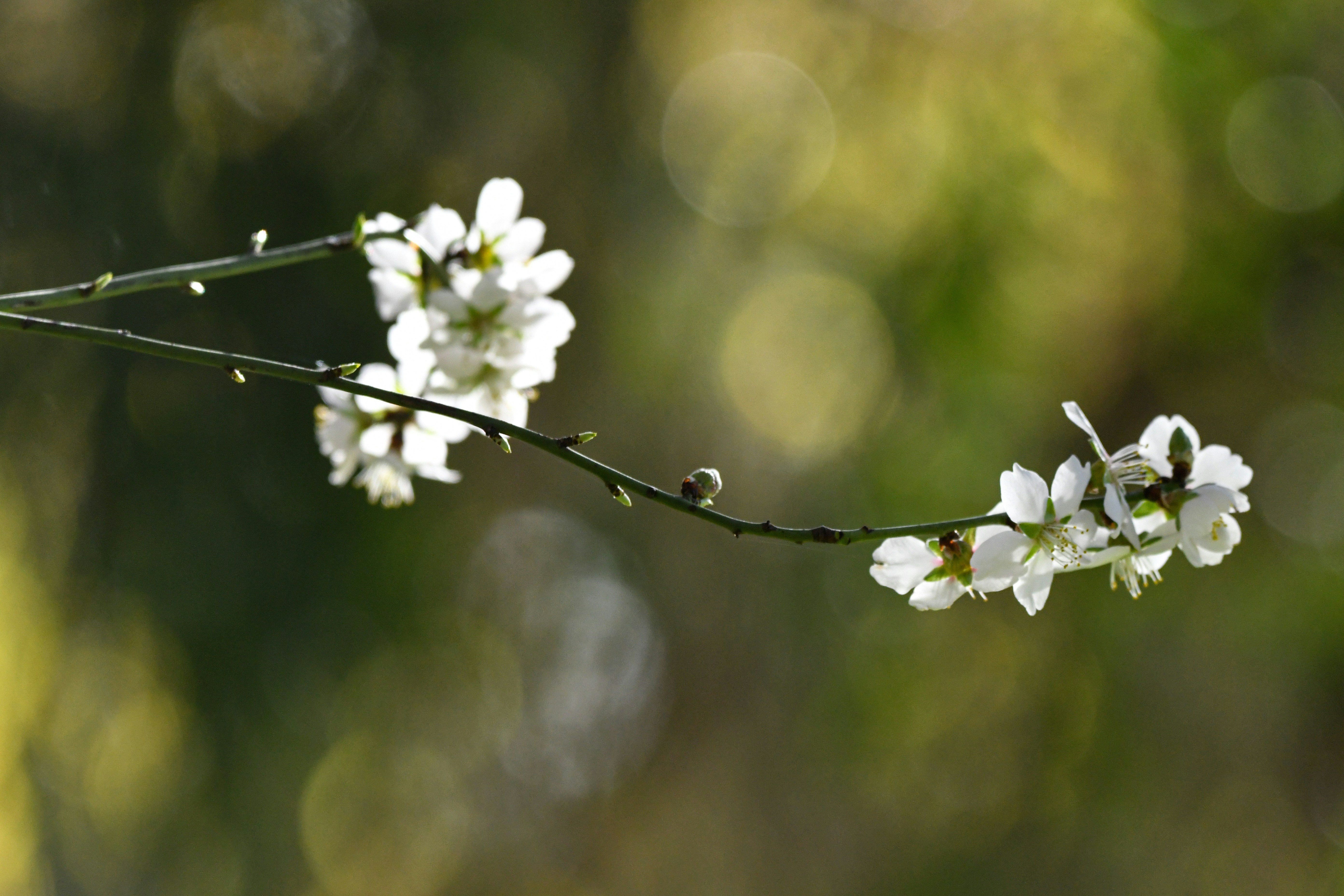 Photo by elisastonephotography