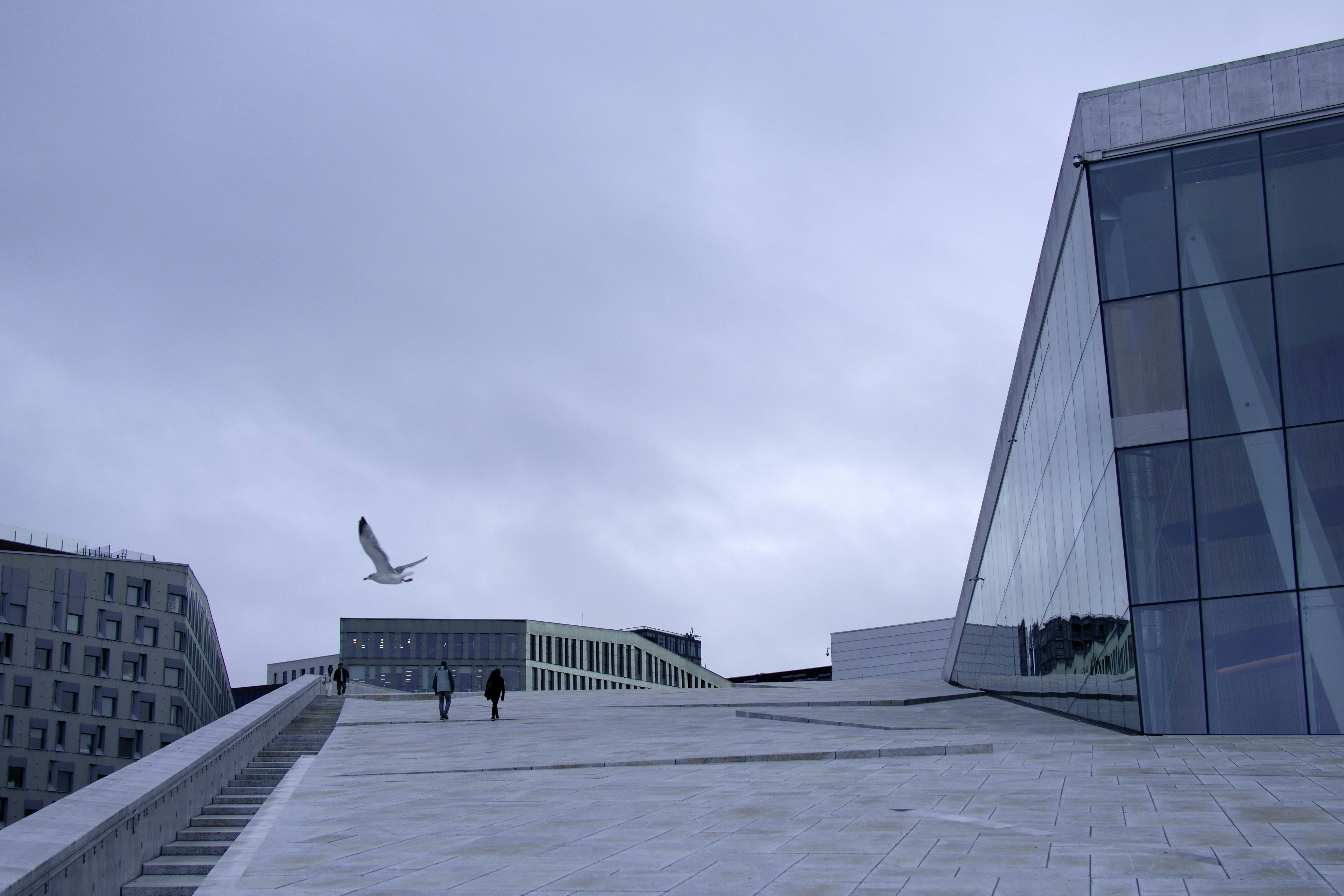 Image by ray rui via Unsplash