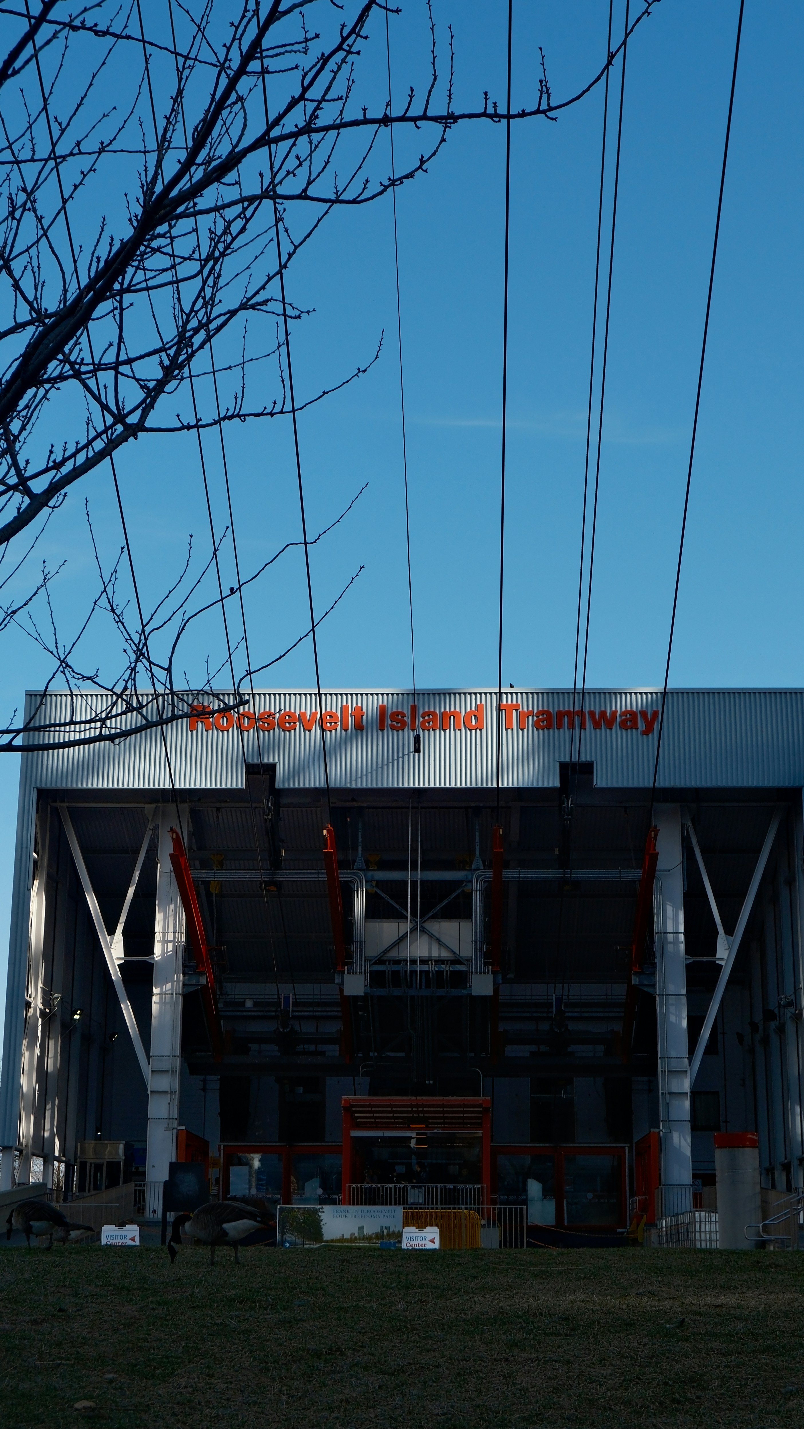 Roosevelt Island Tramway photo 3