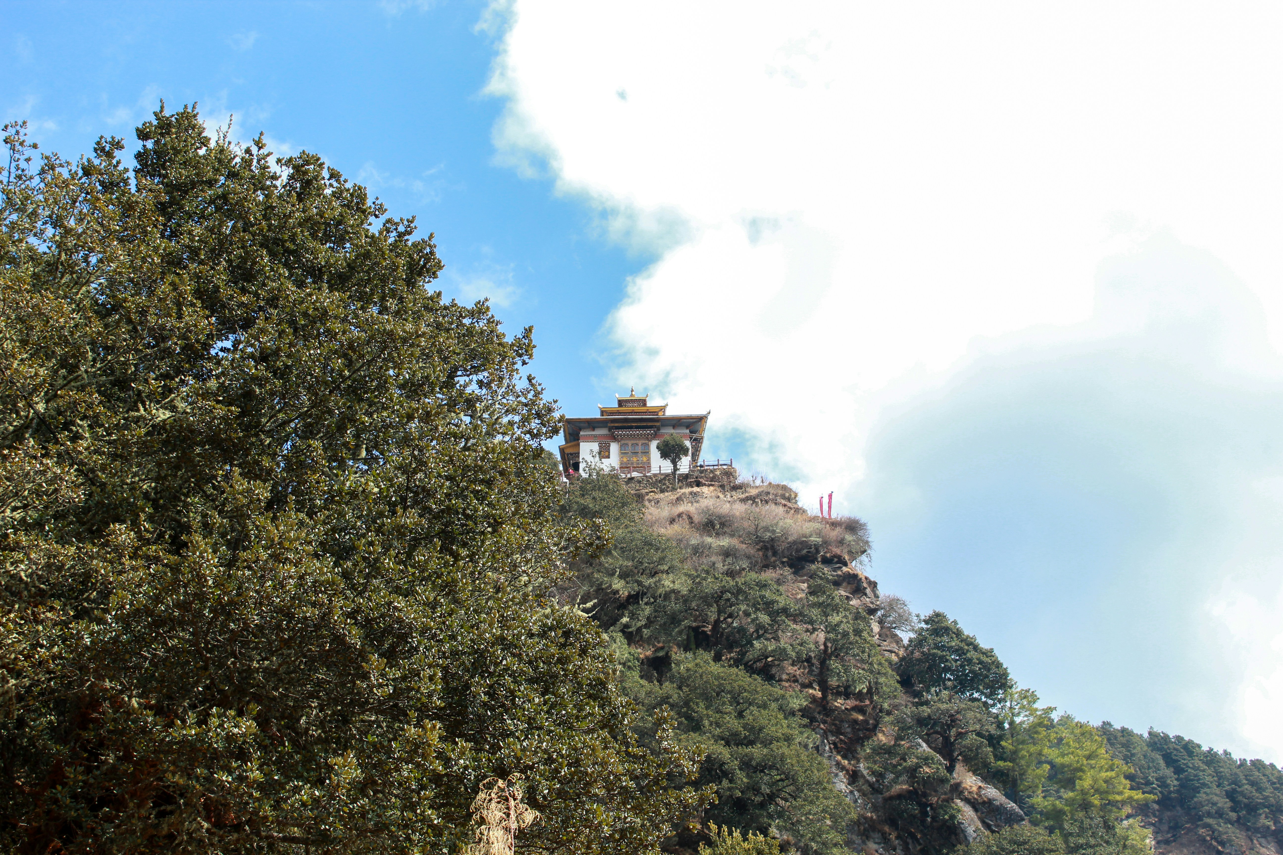 Photo by sujanmongar