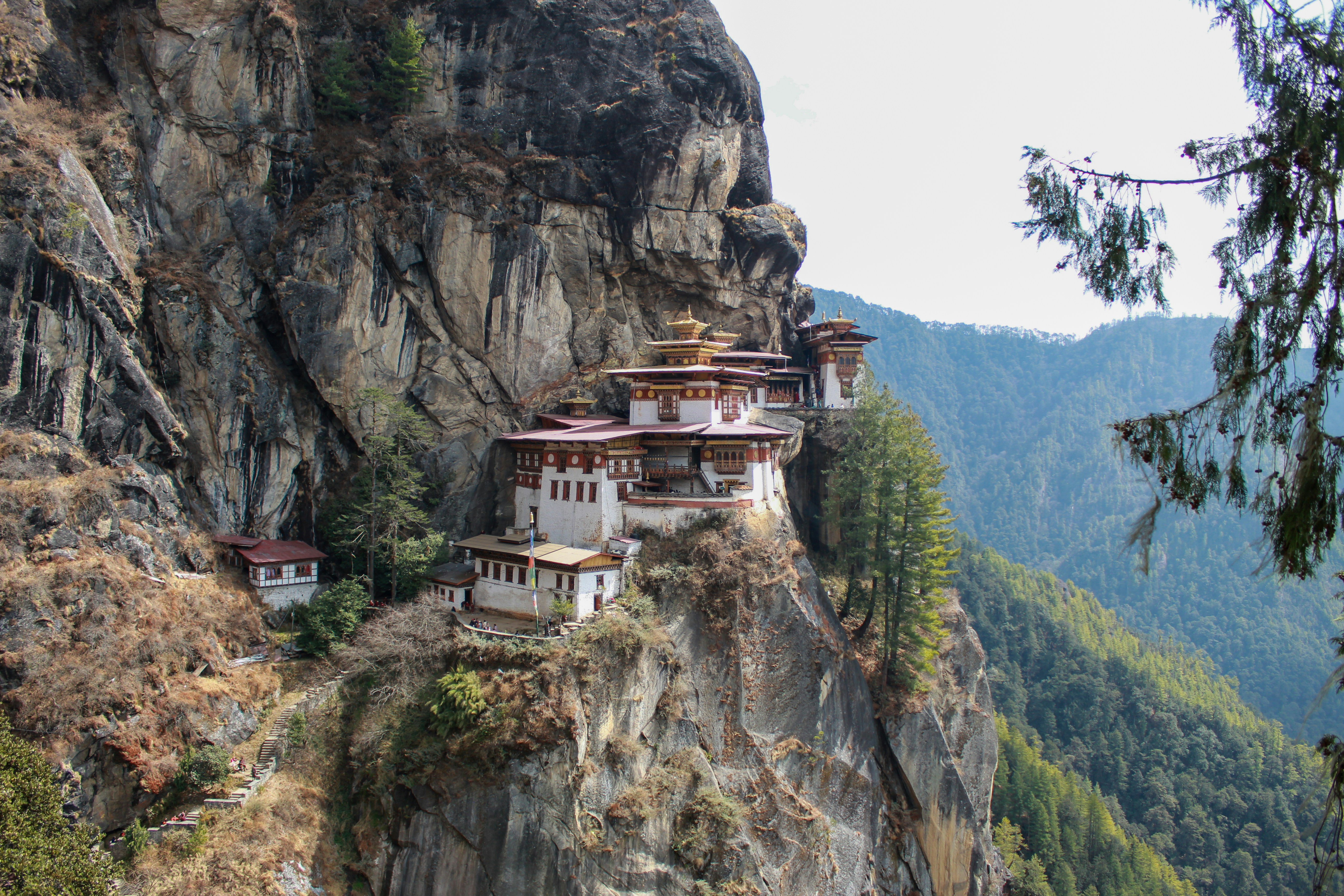 Photo by sujanmongar