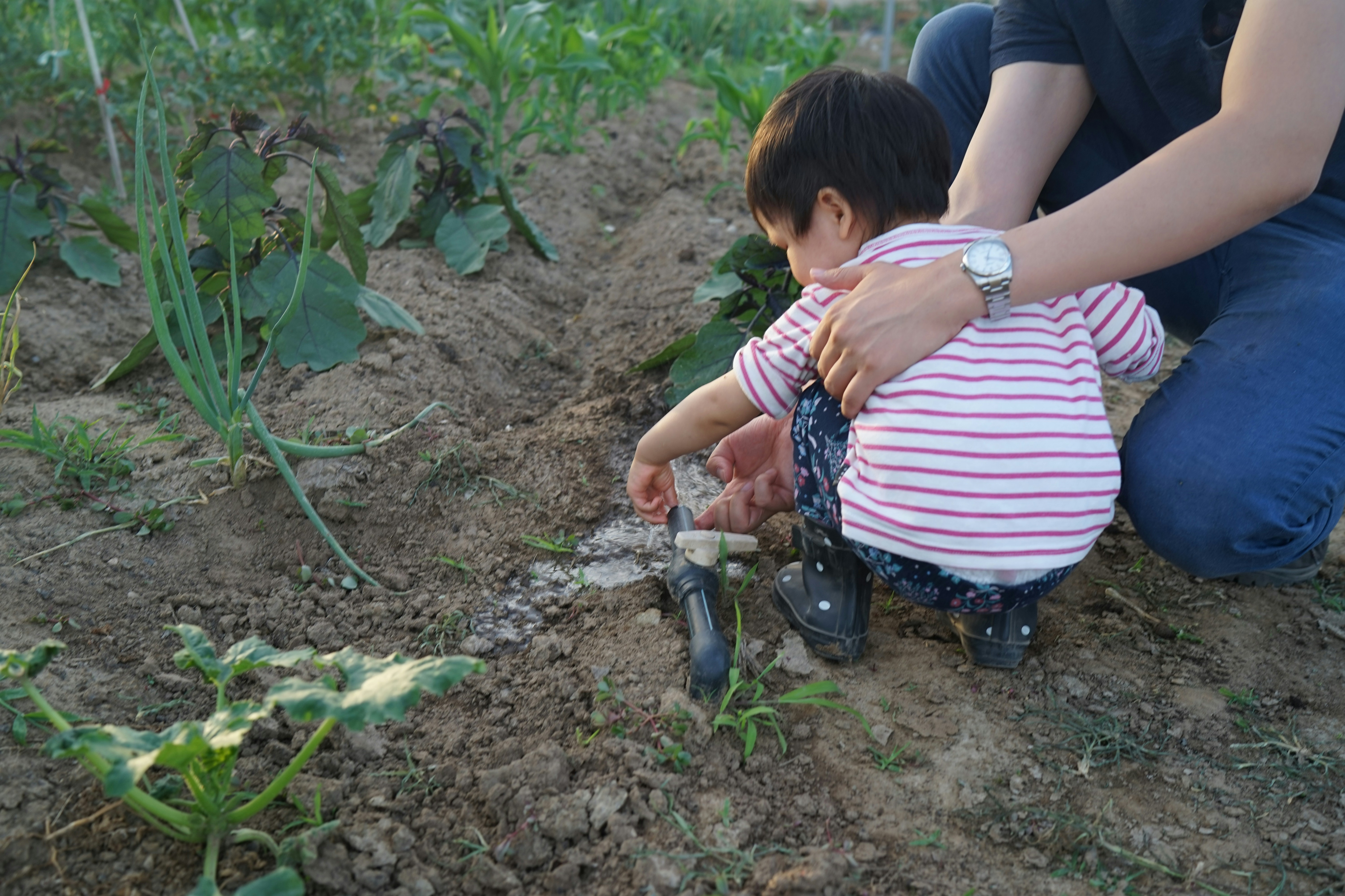 A baby is playing in the garden with help.