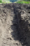 Deep tire tracks cut through muddy ground.
