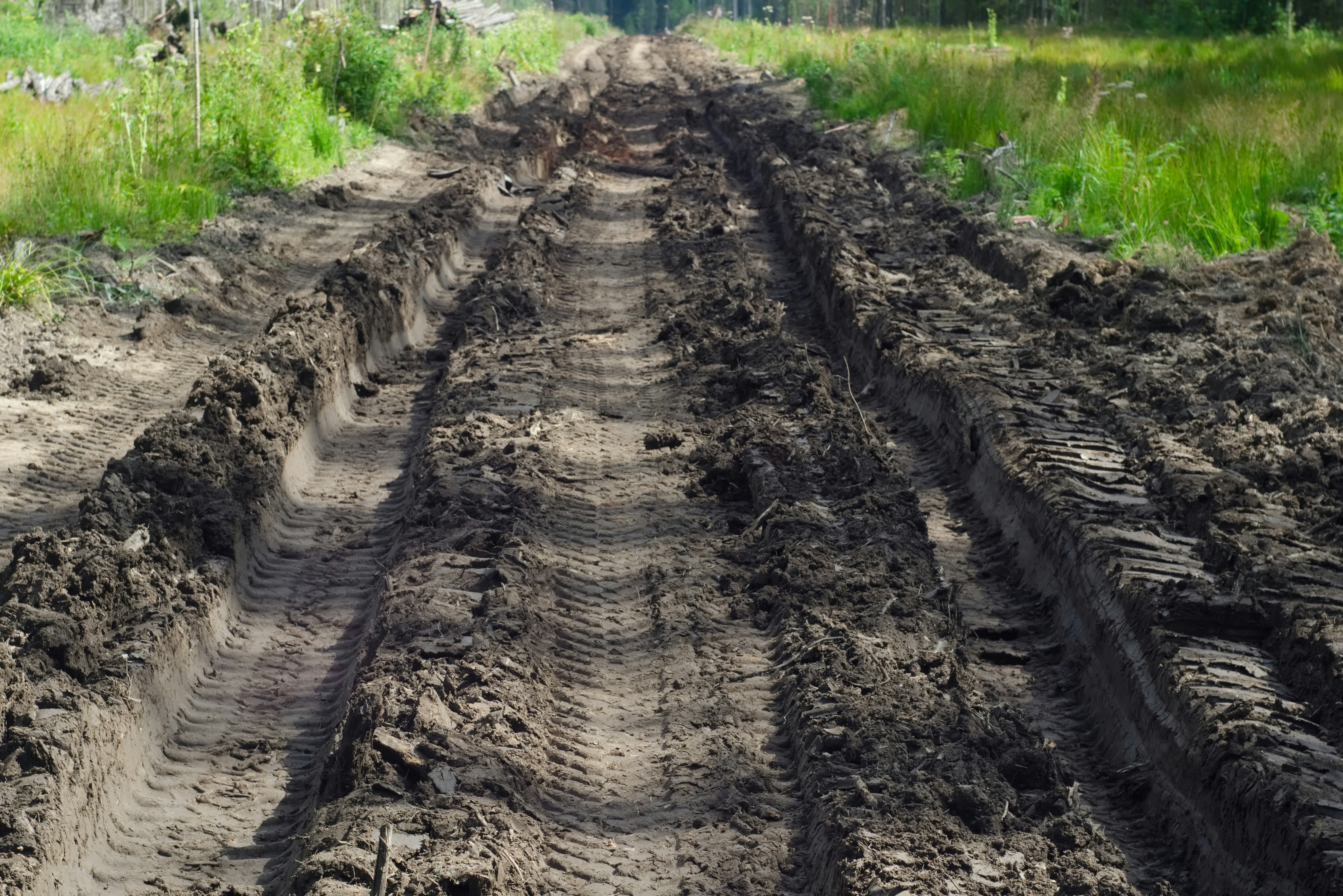 The Science Behind the Spectacle (image credits: unsplash)