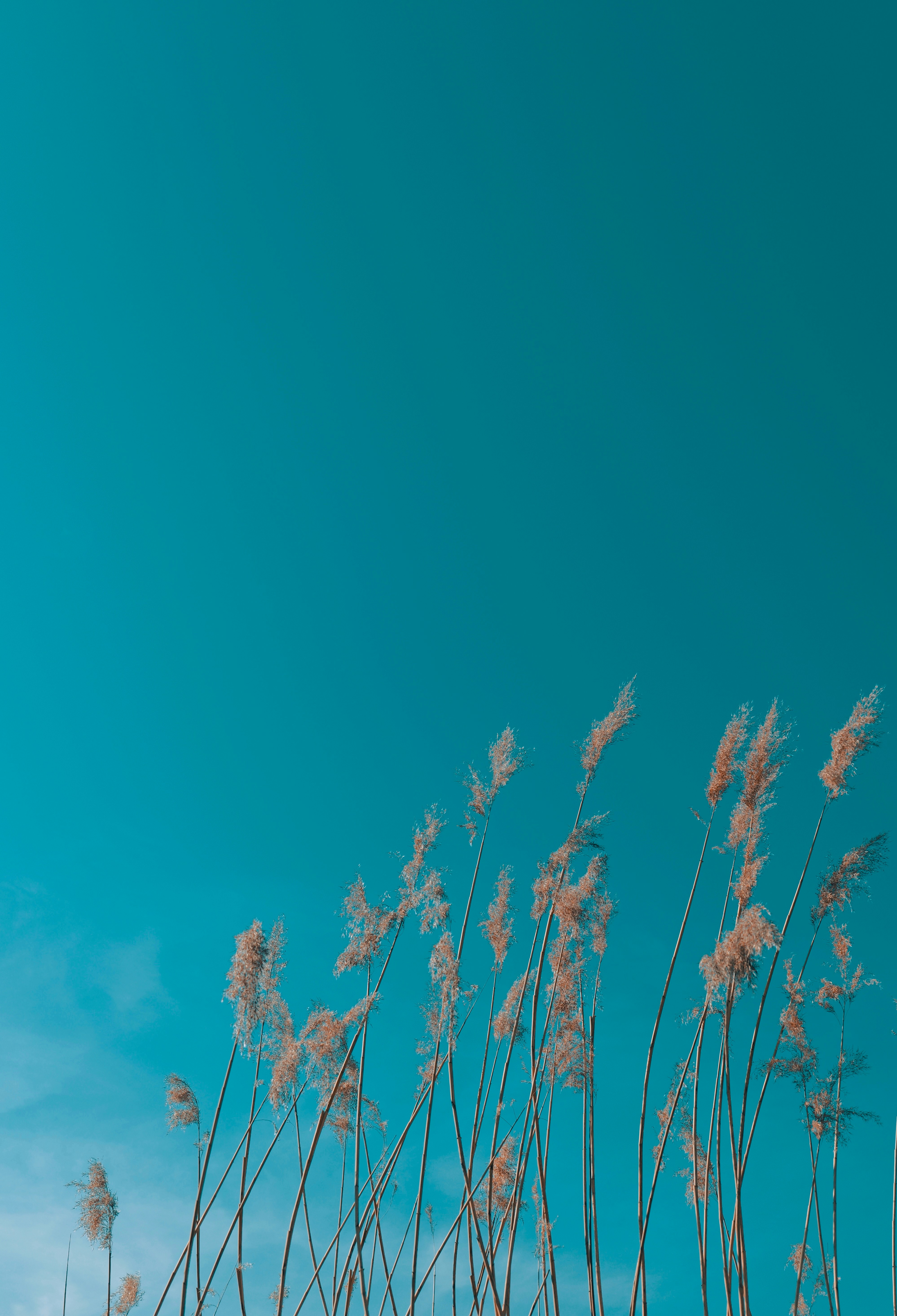 photo-1742548467619-85c36baed83d?ixid=M3wxMjA3fDB8MXxzZWFyY2h8MTJ8fGhpZ2hzdGFrZXxlbnwwfHx8fDE3NjExODA2NDl8MA\u0026ixlib=rb-4.1.0