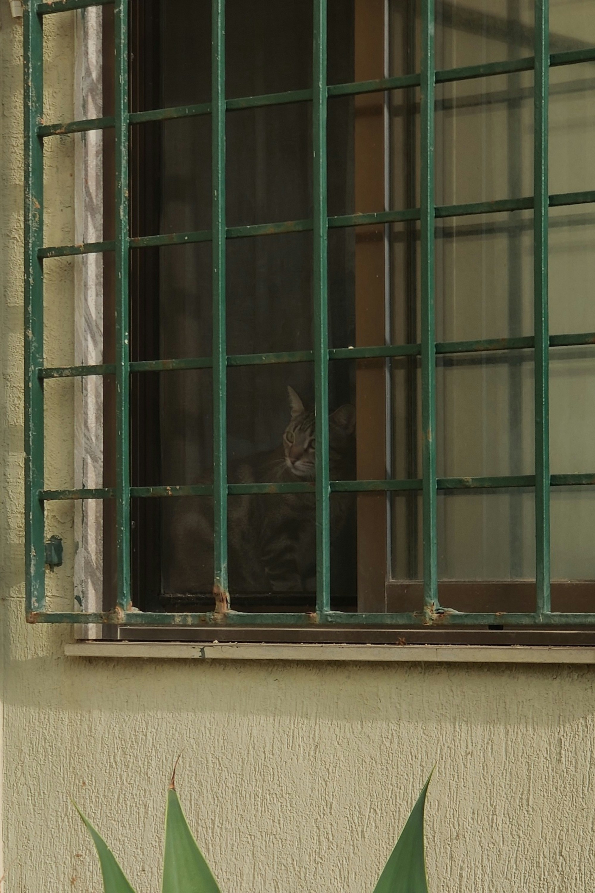 Photo by alvaromontoro