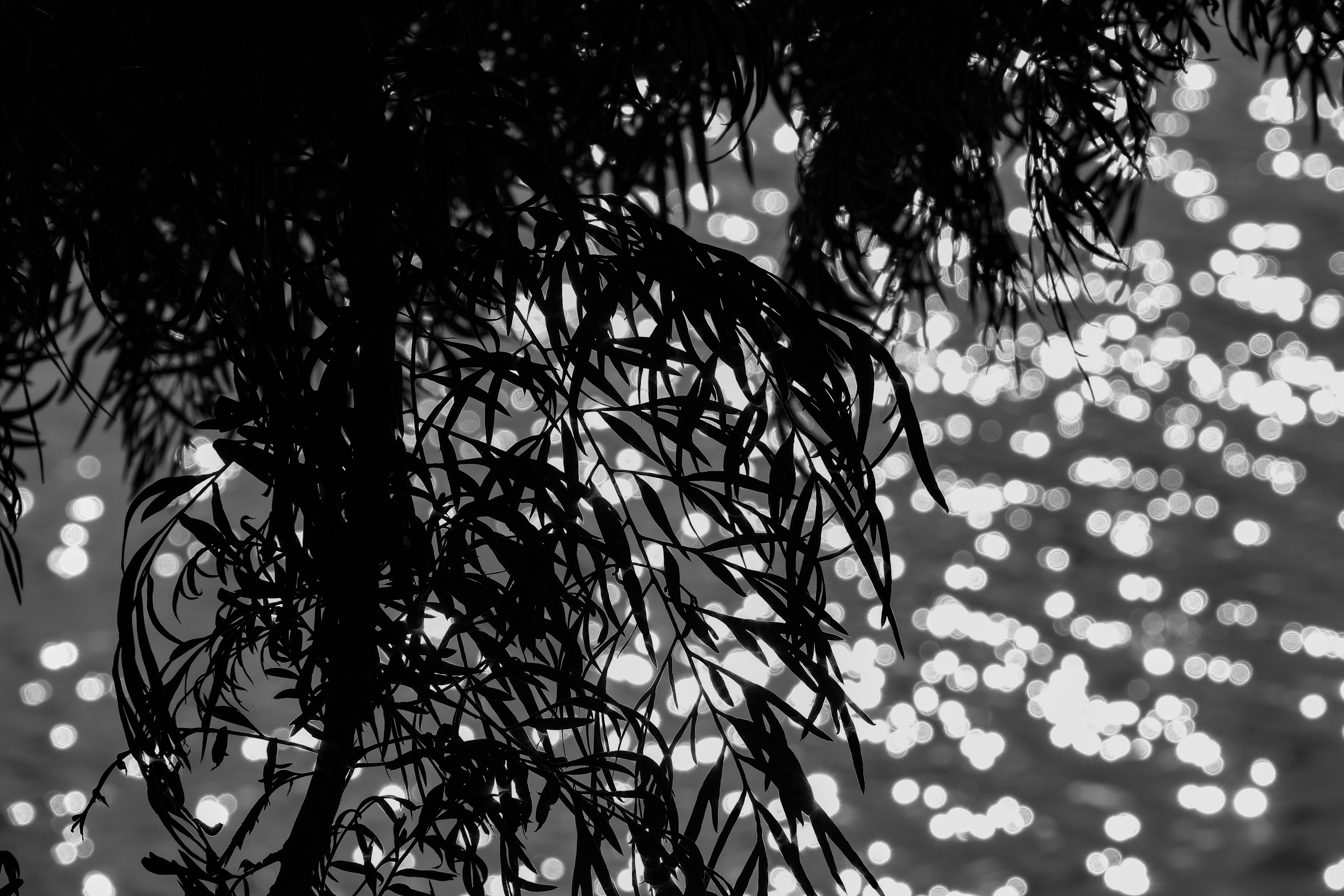 Photo by suryadoingstuff