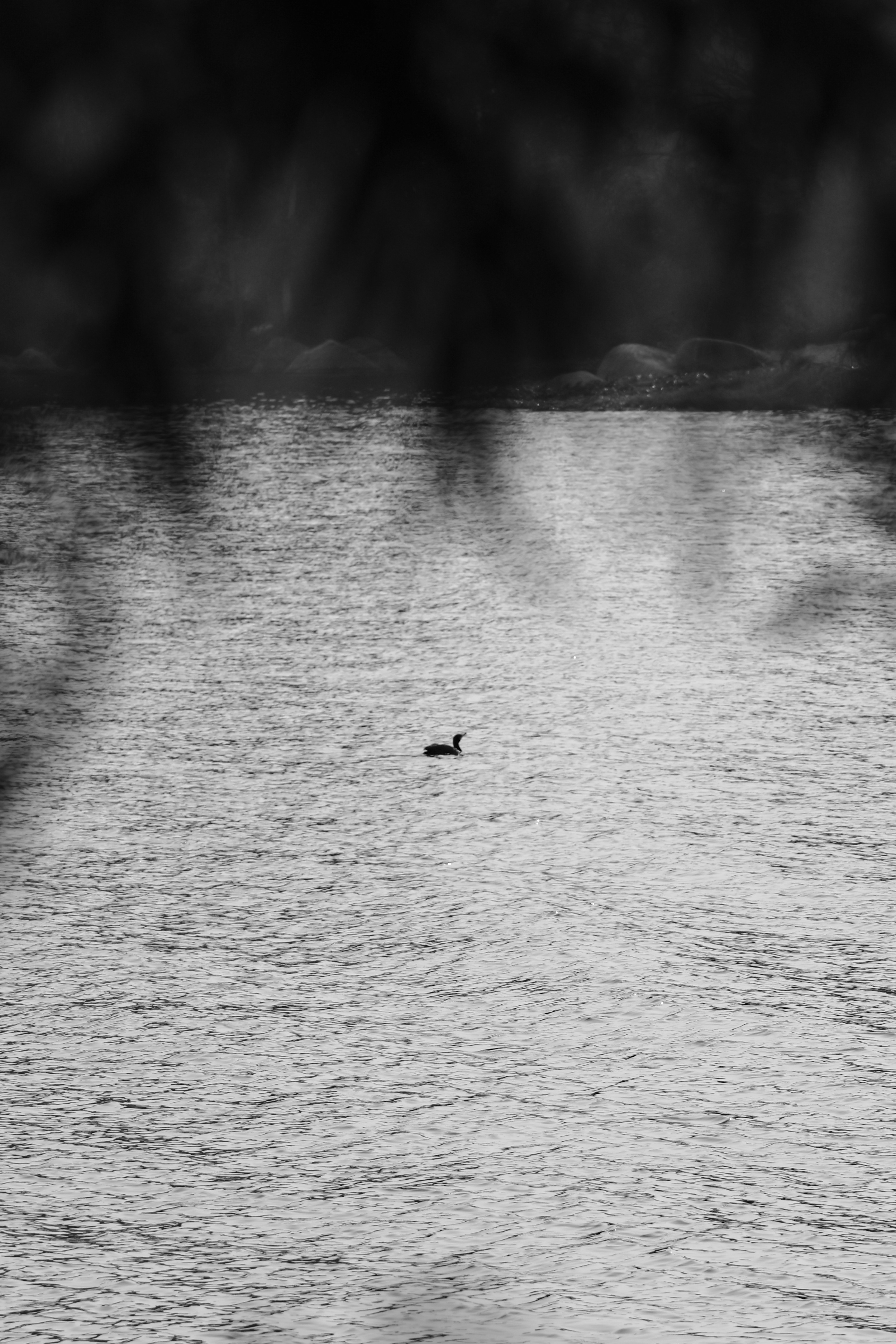 Photo by suryadoingstuff