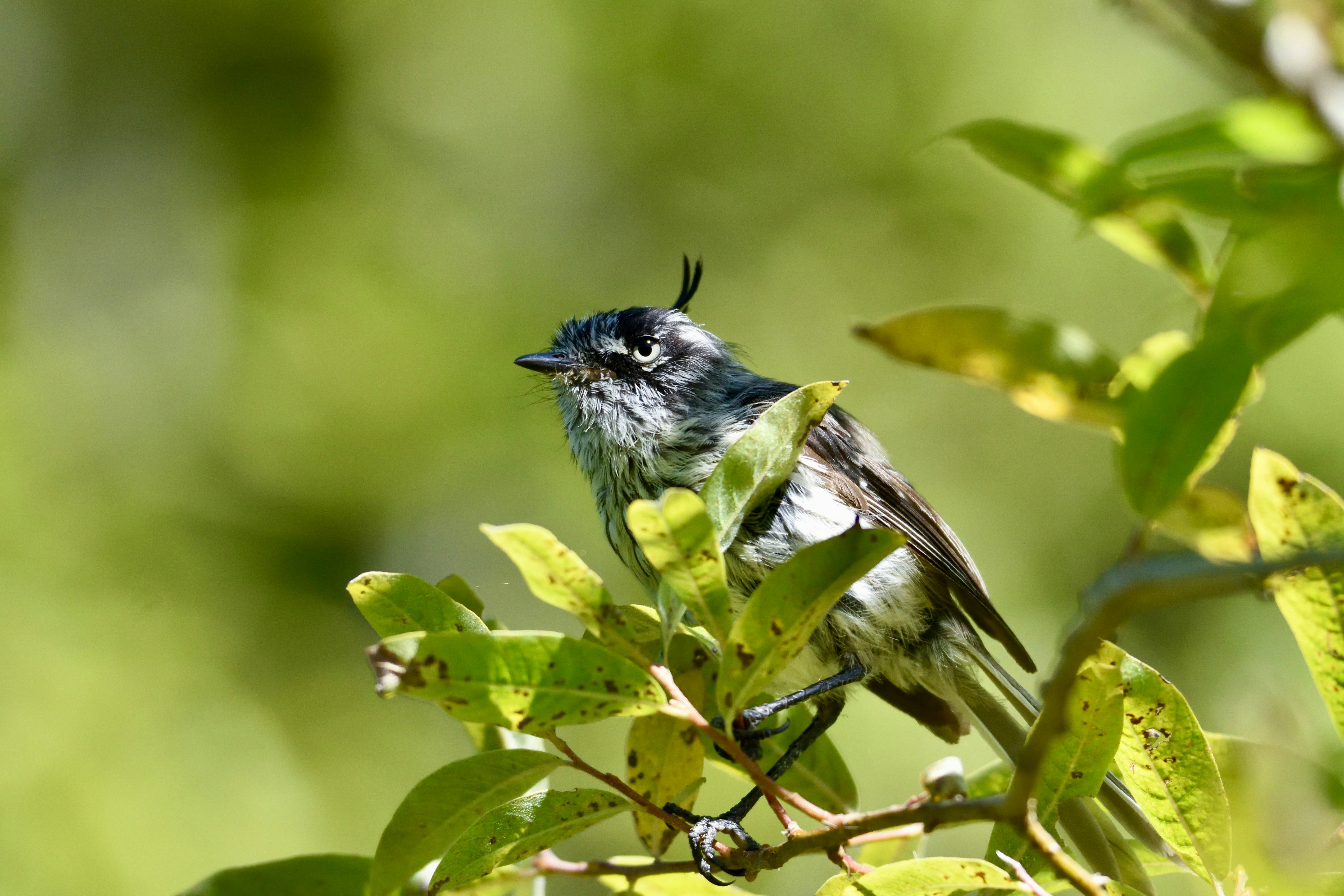 Photo by javiera_neira_f