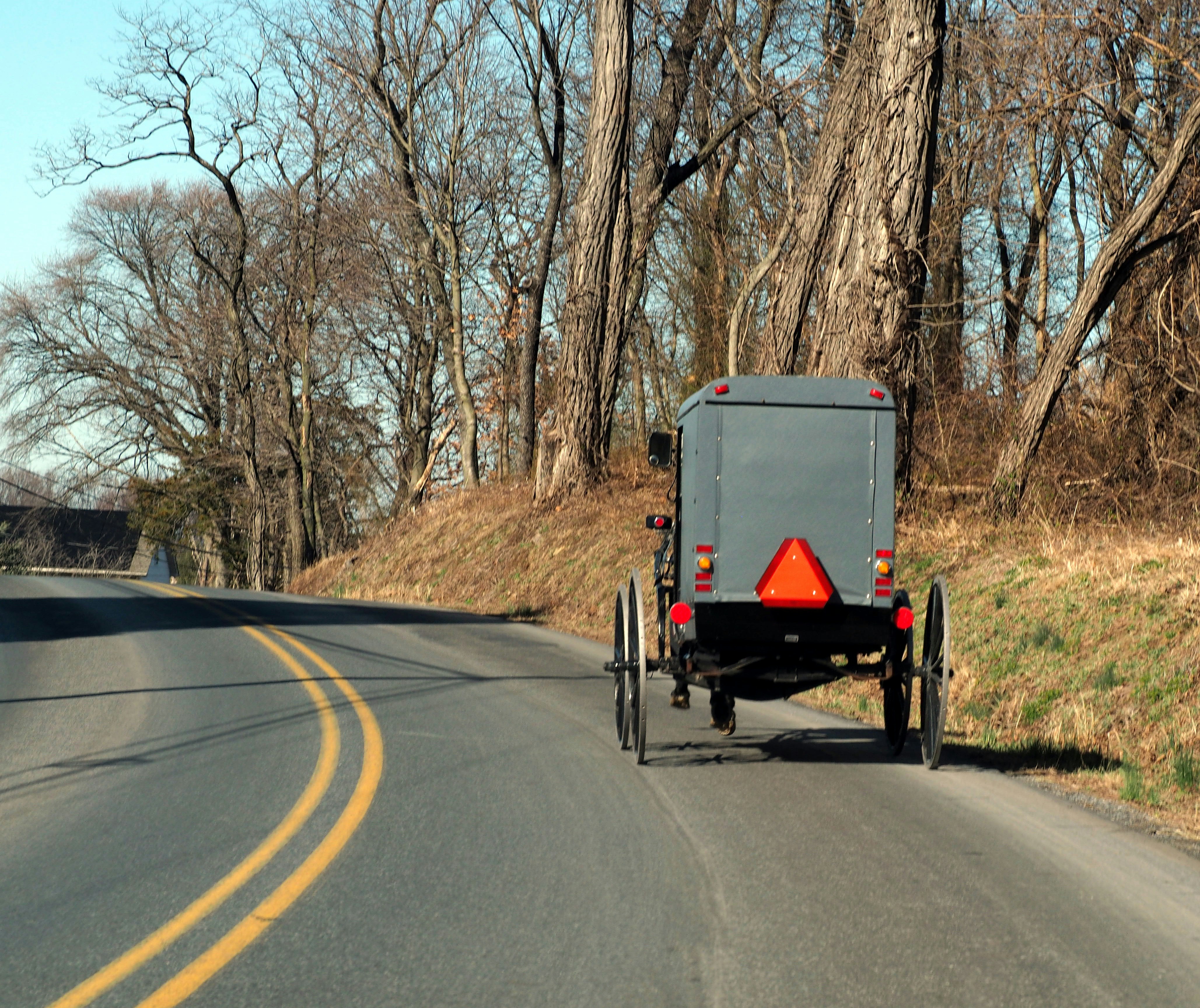 An amish buggy travels along a rural road.