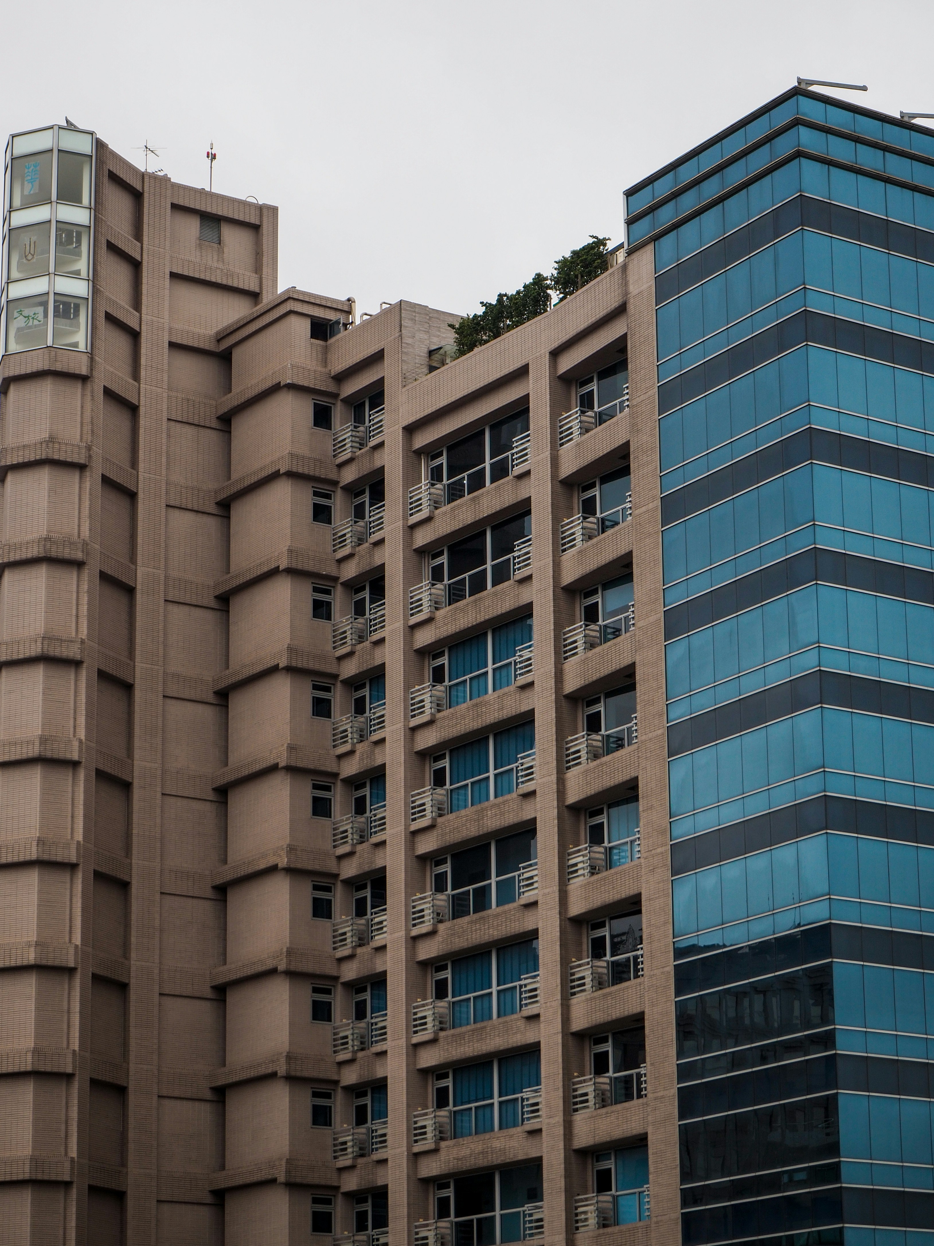 Photo by ruthietoothy