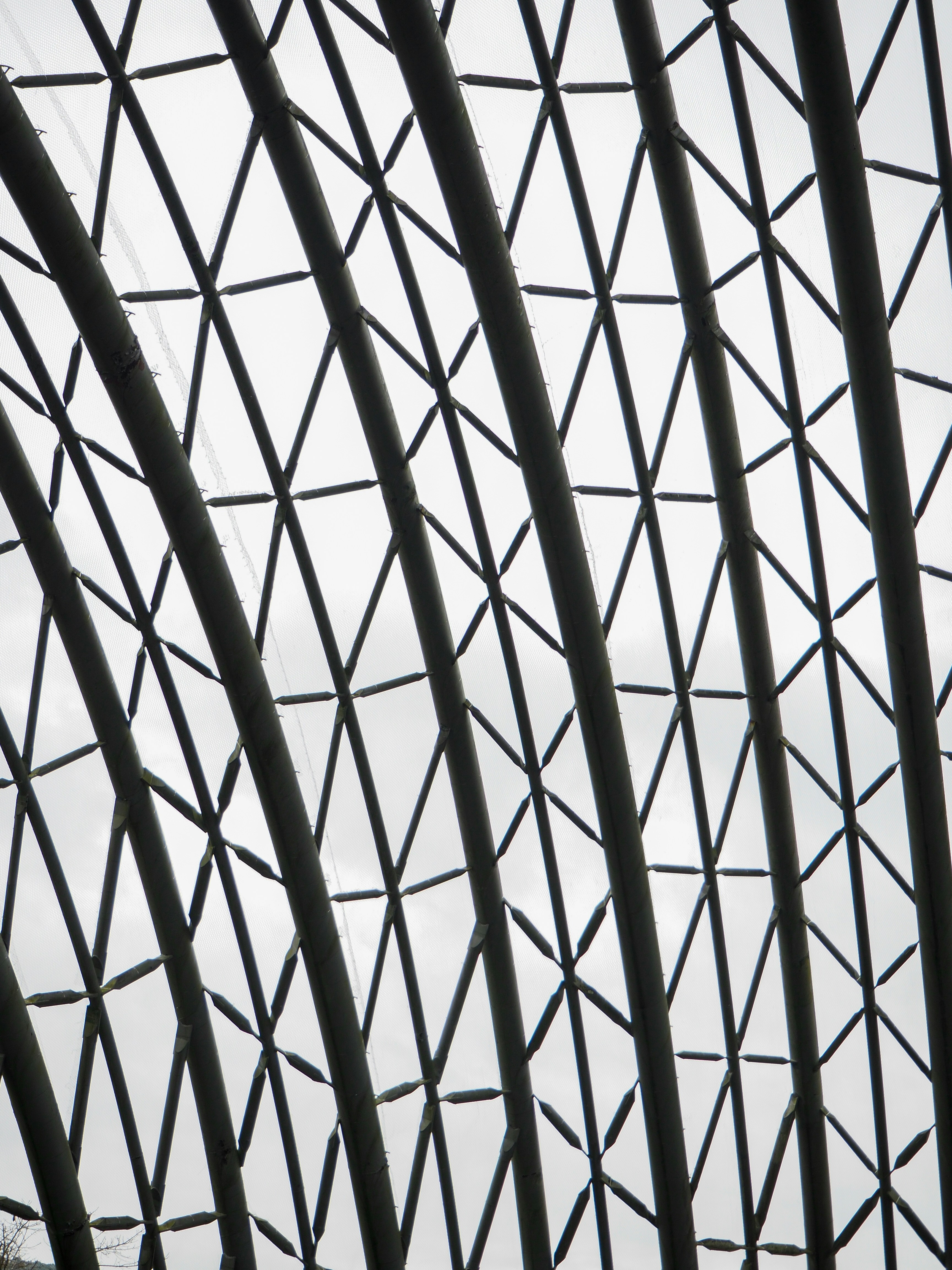 Photo by ruthietoothy