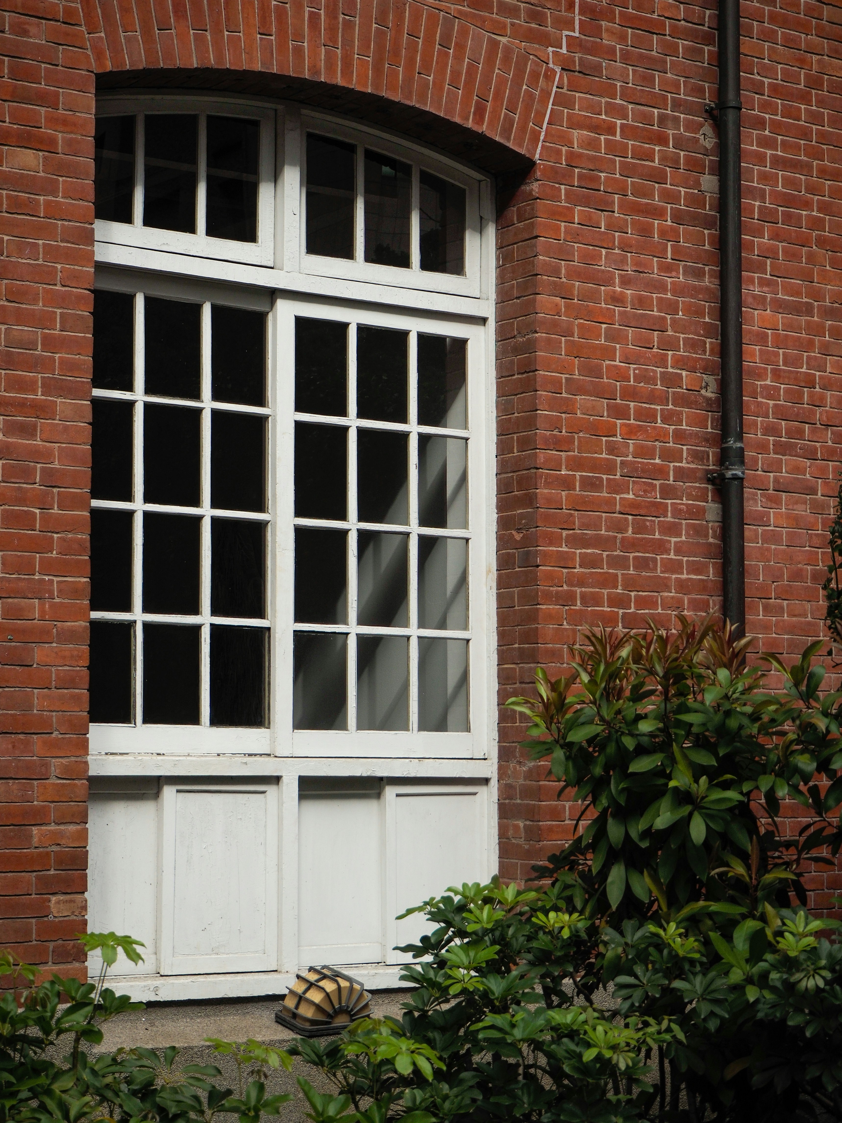 Photo by ruthietoothy