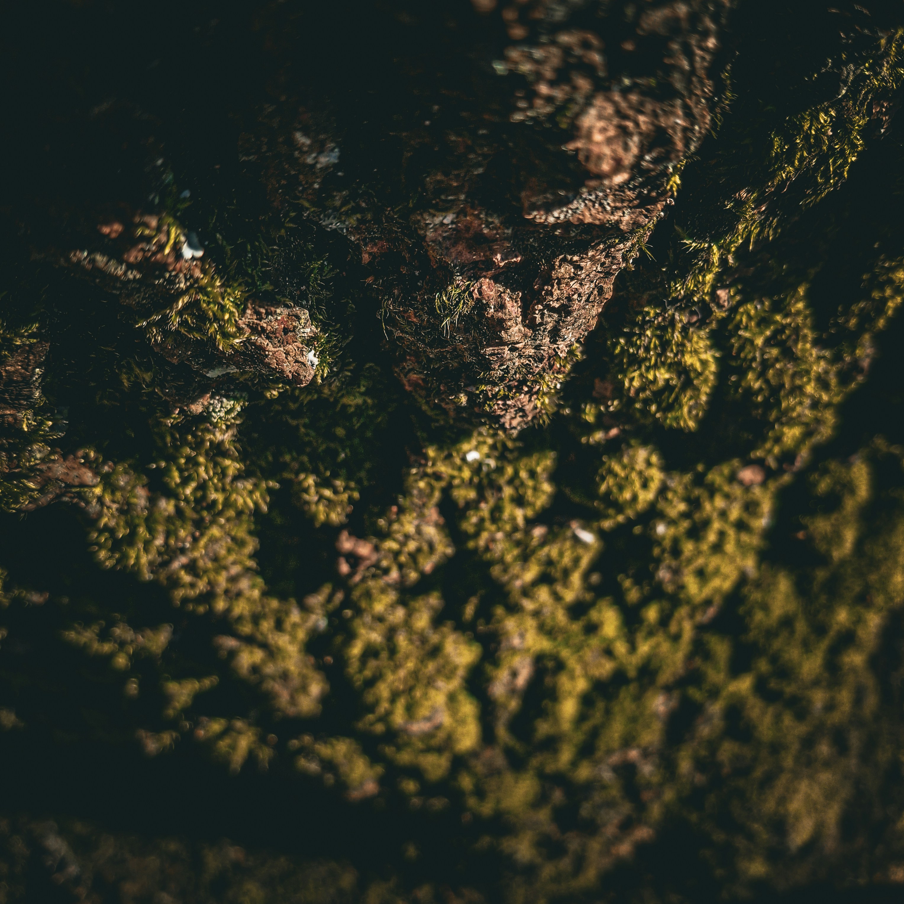 Photo by arthur_rsms